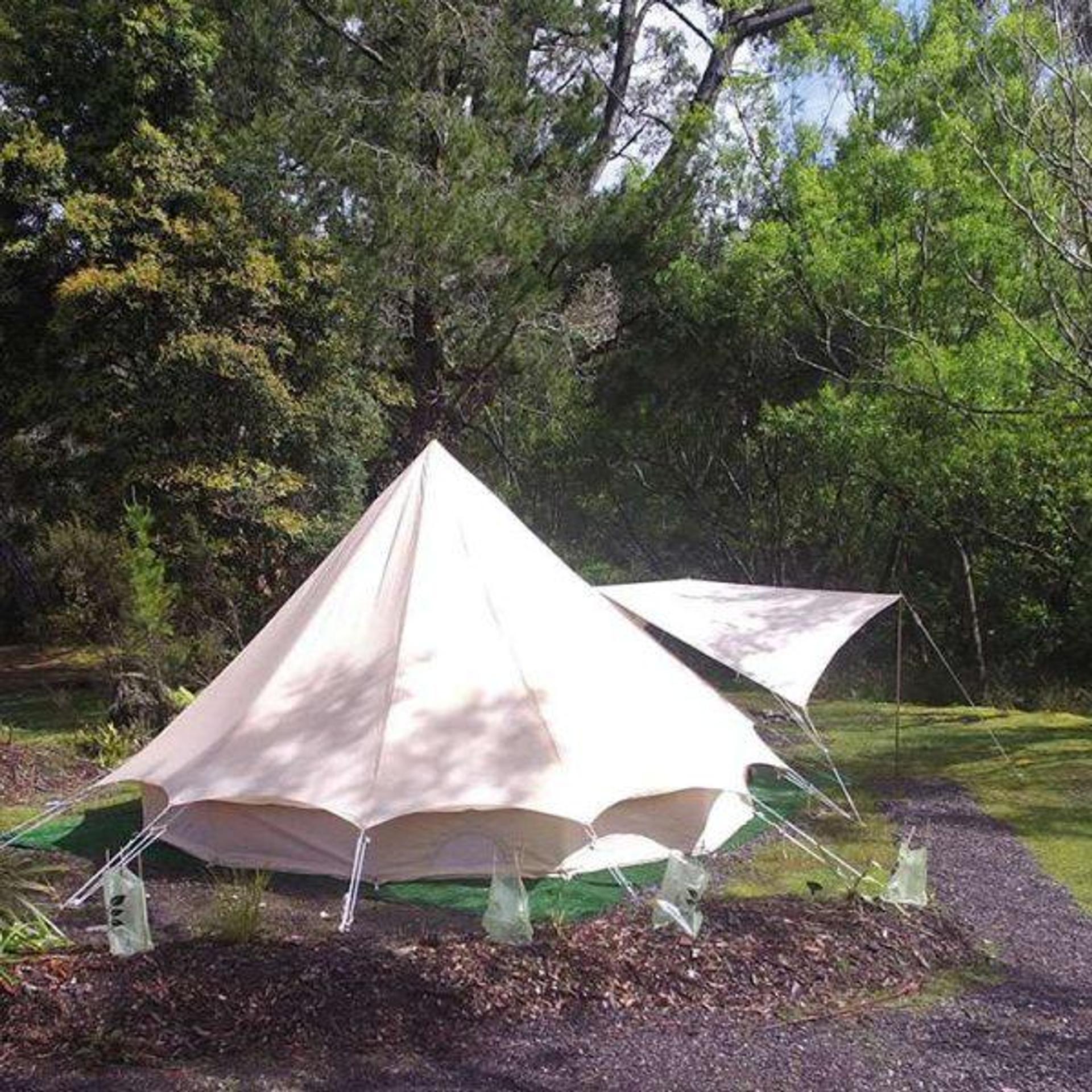 Zeehan Bush Camp- Glamping and Cabins - 3