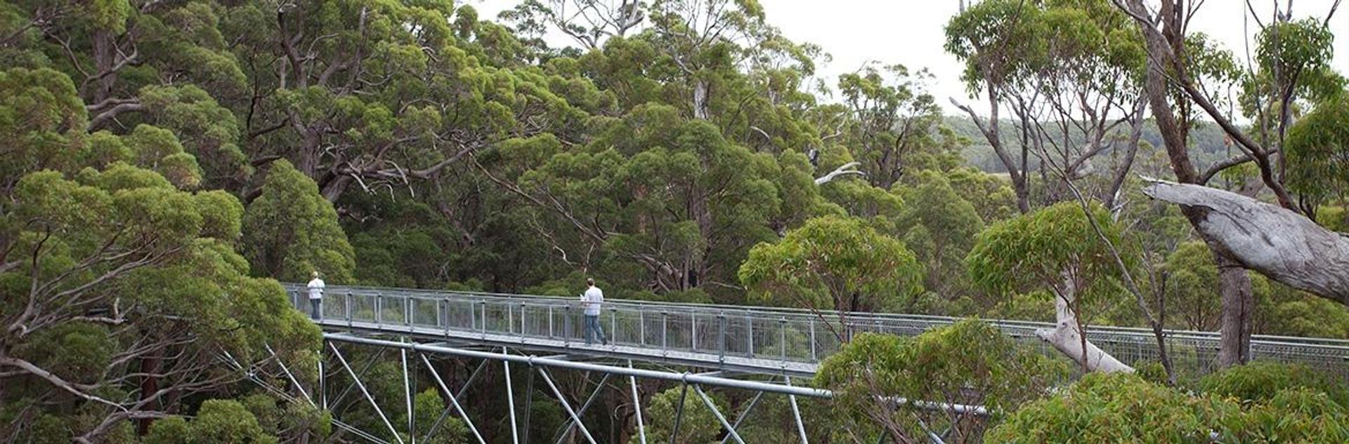 Coalmine Beach Holiday Park - 4