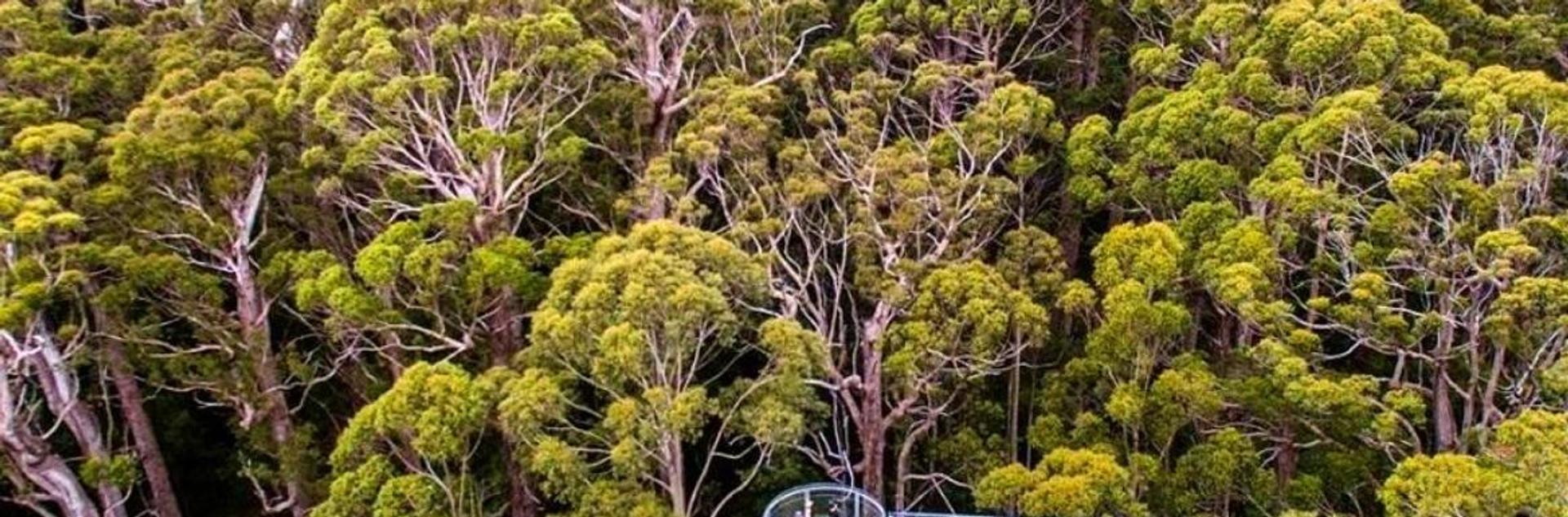 Coalmine Beach Holiday Park - 3