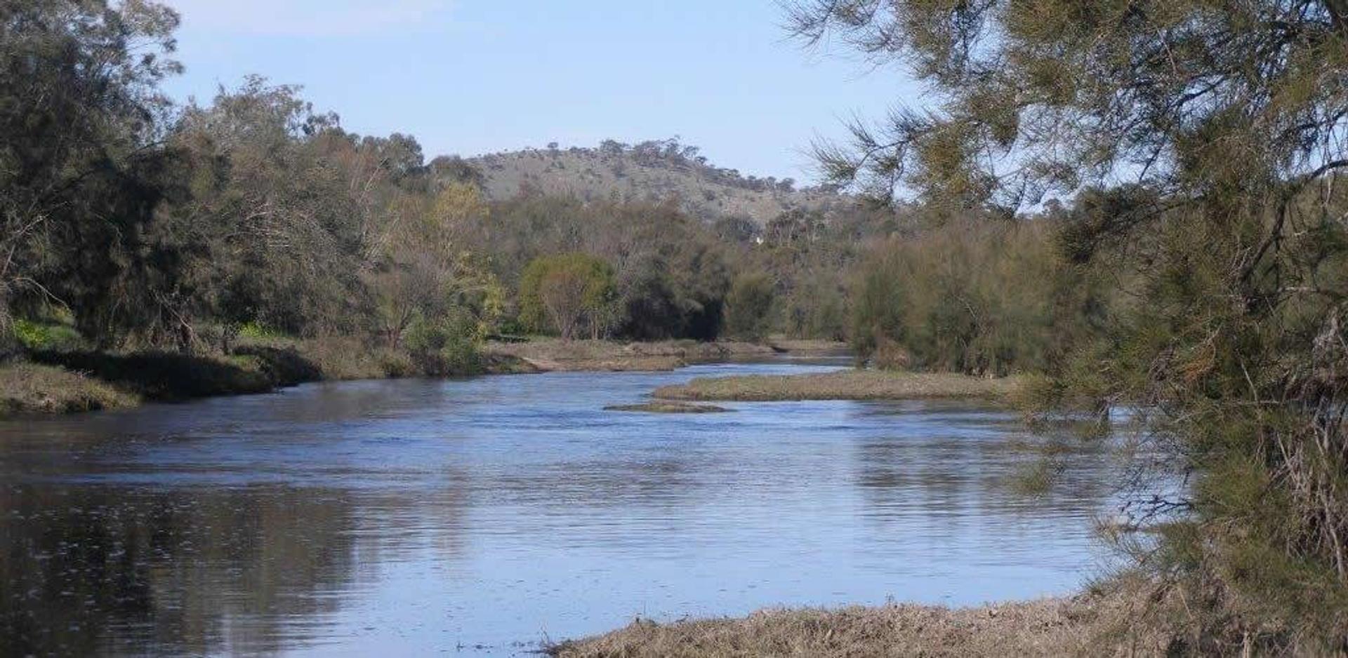 Toodyay Caravan Park - 5