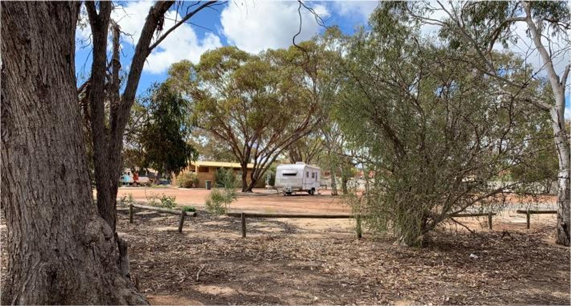 Wickepin Caravan Park - 4