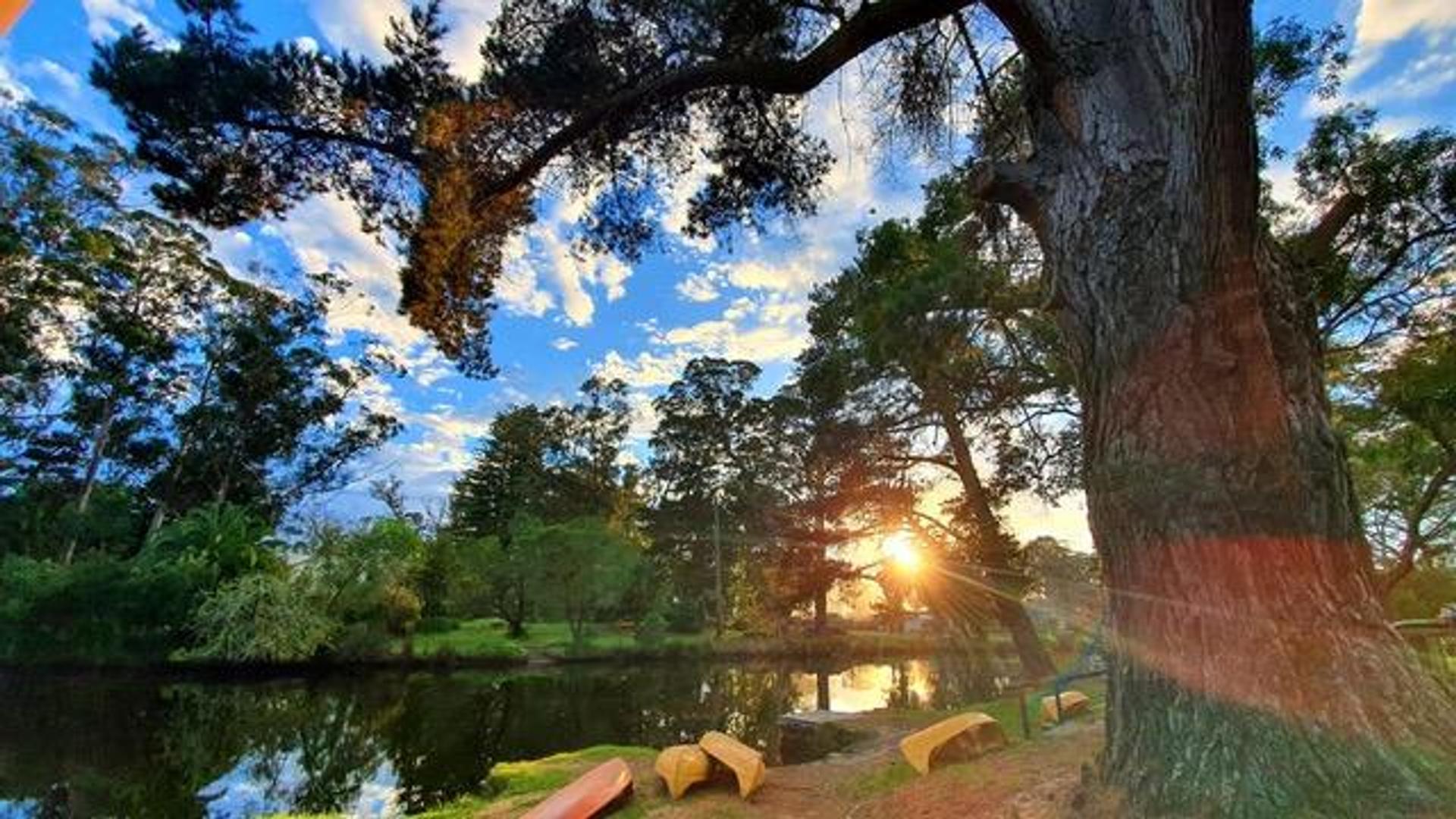 King River Palms Caravan Park - 3