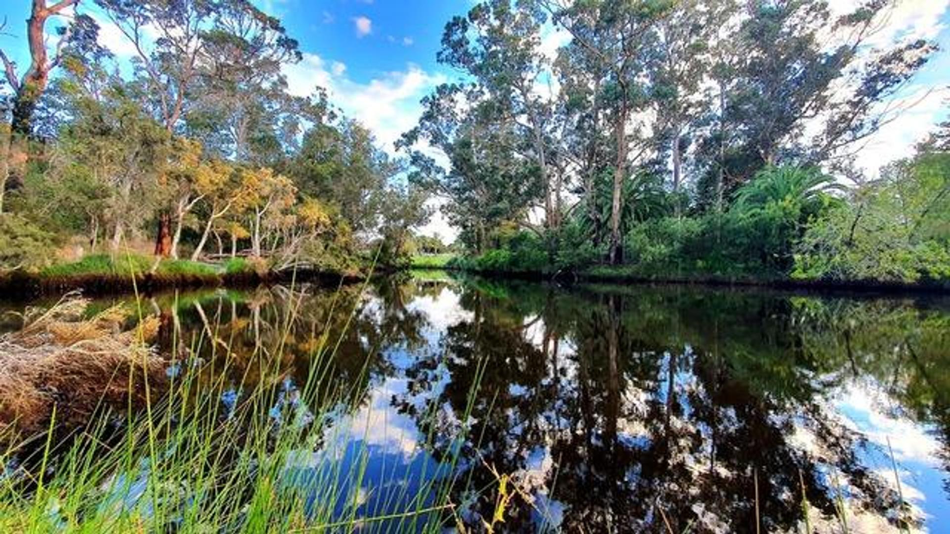 King River Palms Caravan Park - 2