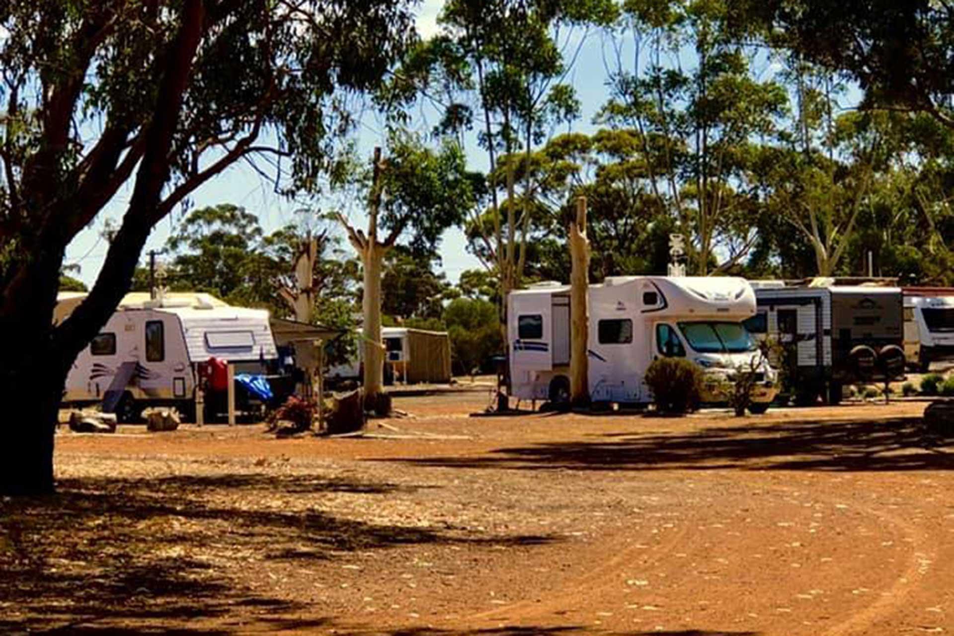 Liberty Roadhouse (Cafe On Cornwall) and Katanning Caravan Park - 3