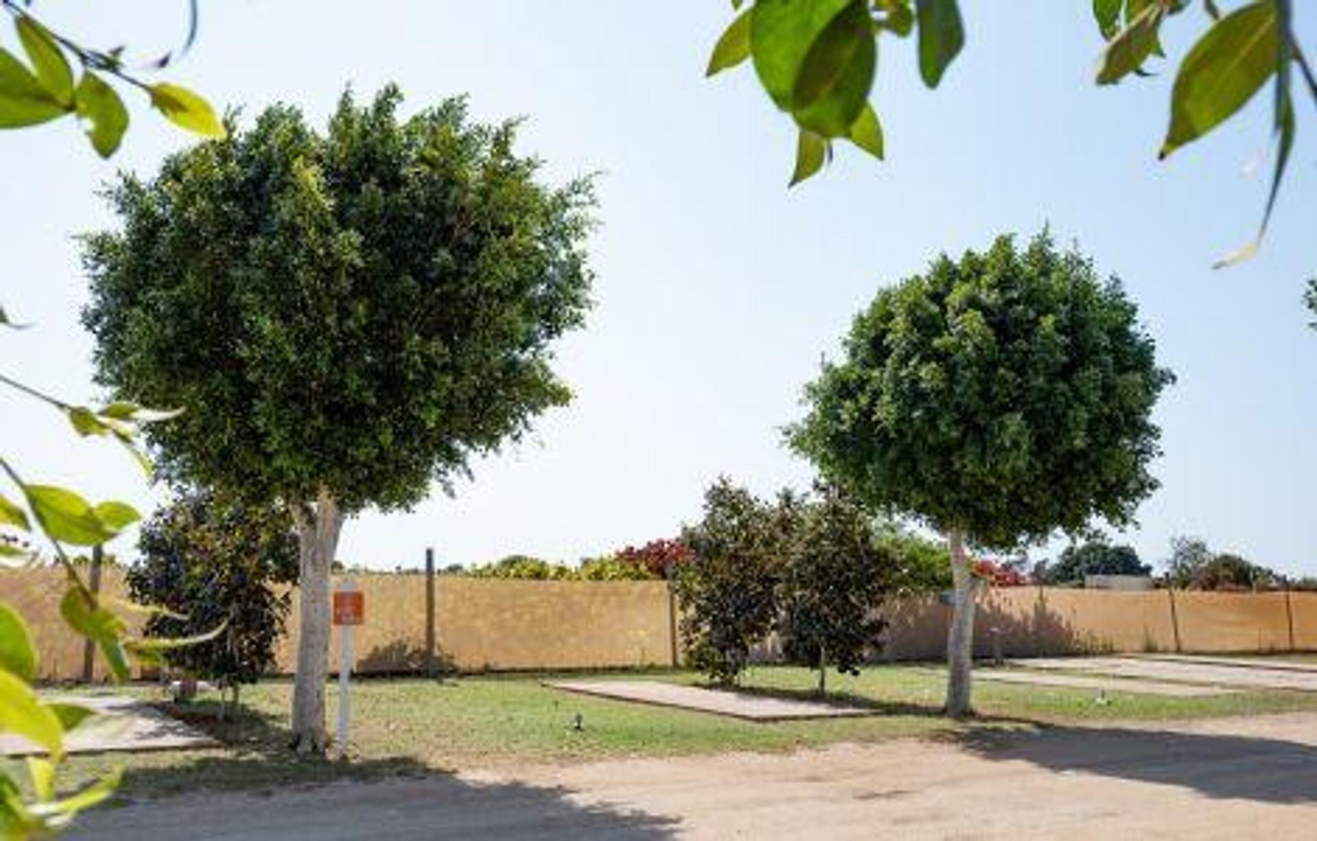 Discovery Parks - Carnarvon - 1