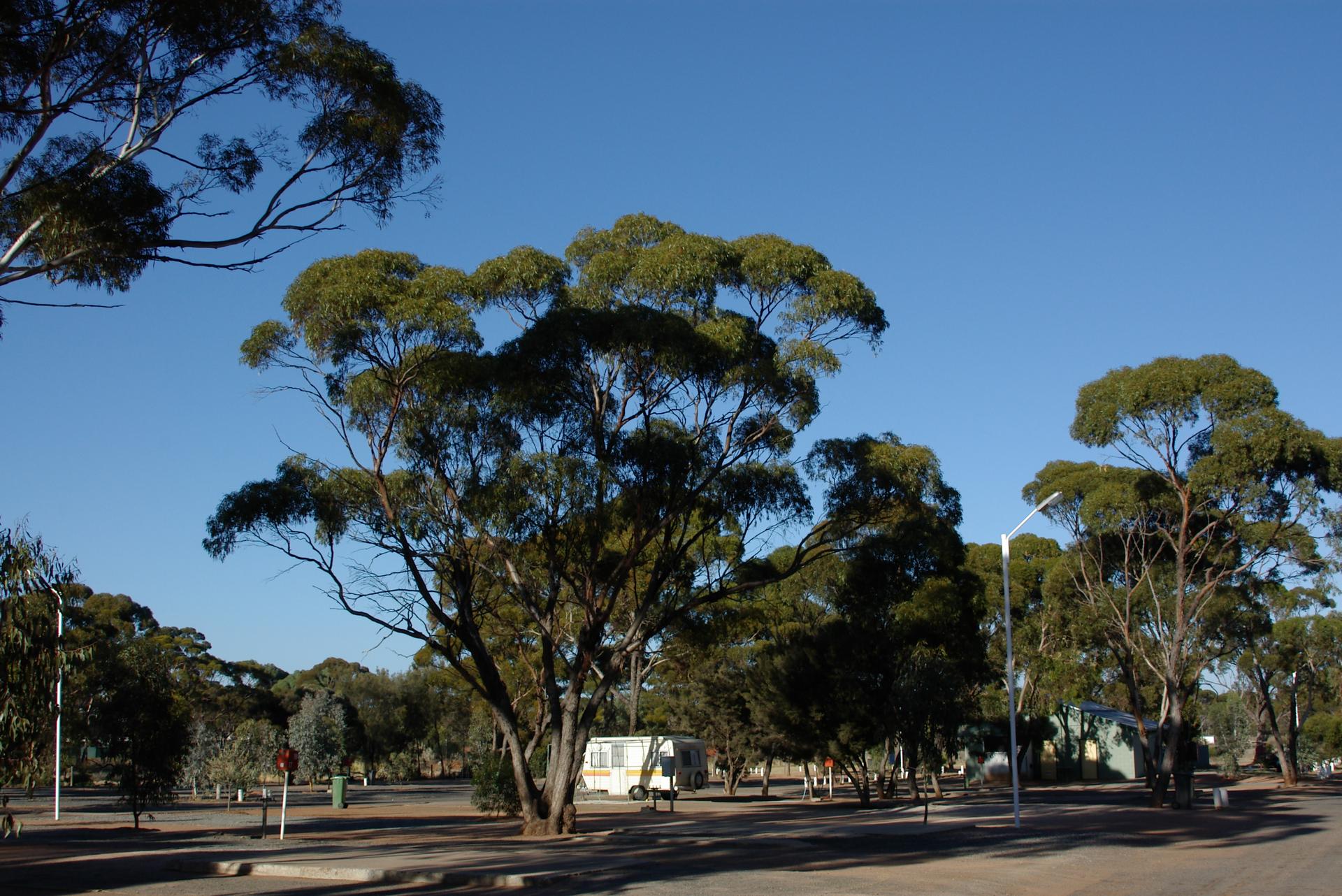 Acclaim Gateway Tourist Park - 1