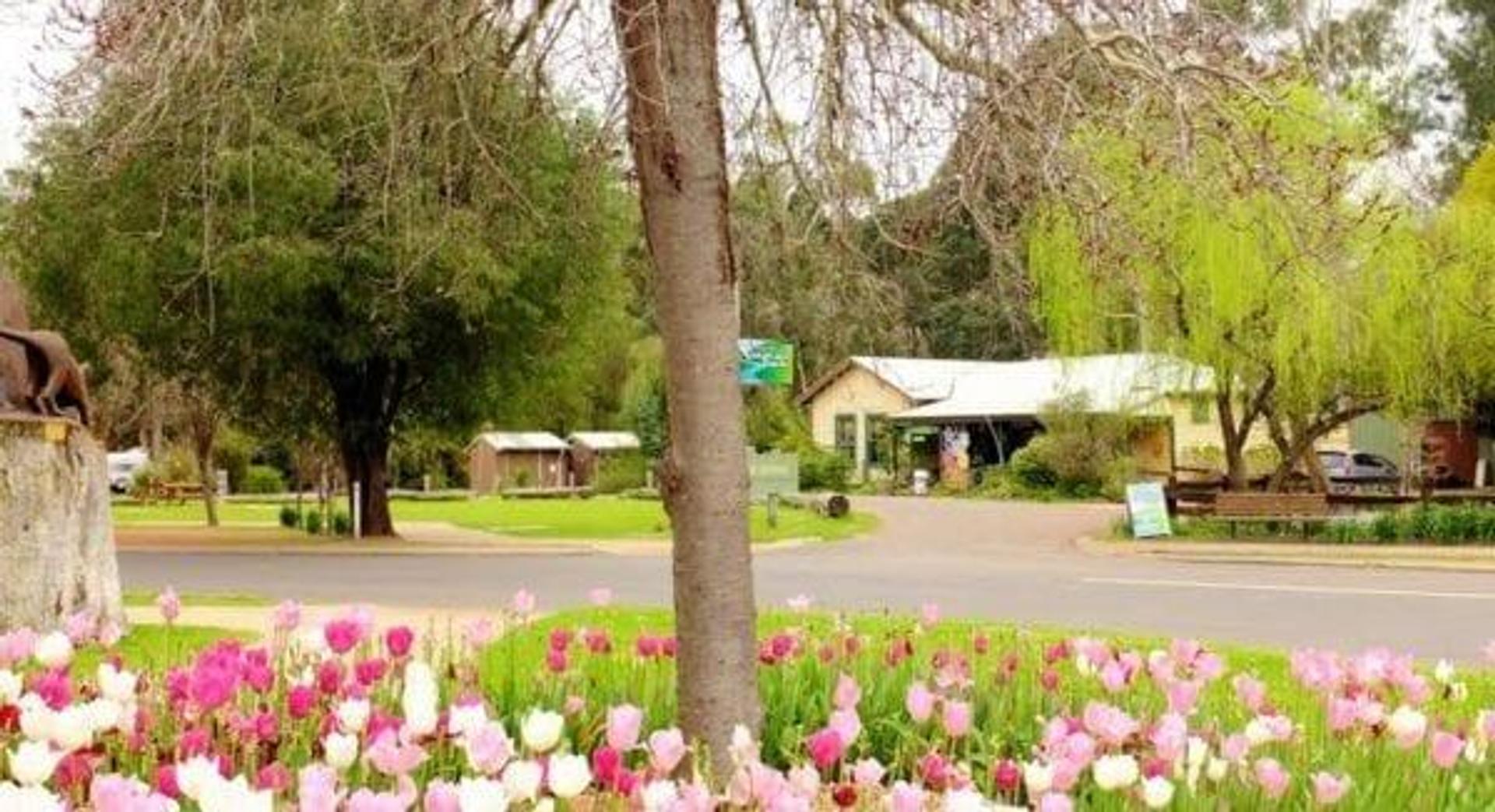 Nannup Caravan Park - 1