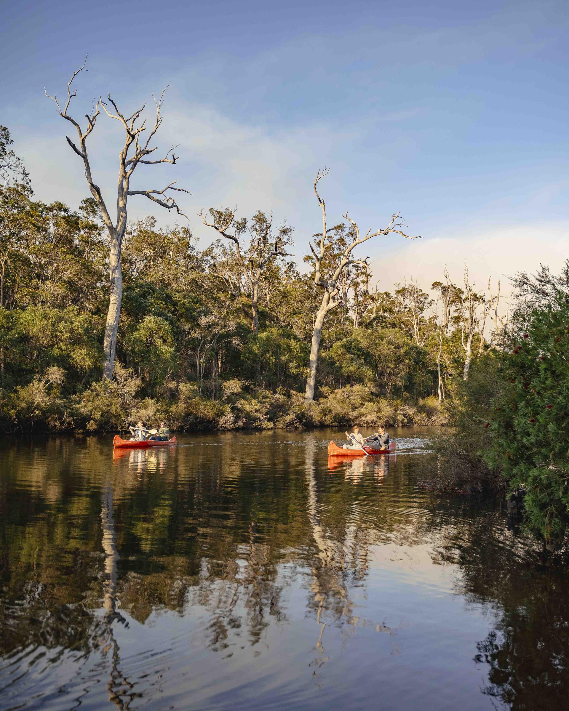 Riverview Tourist Park - 1