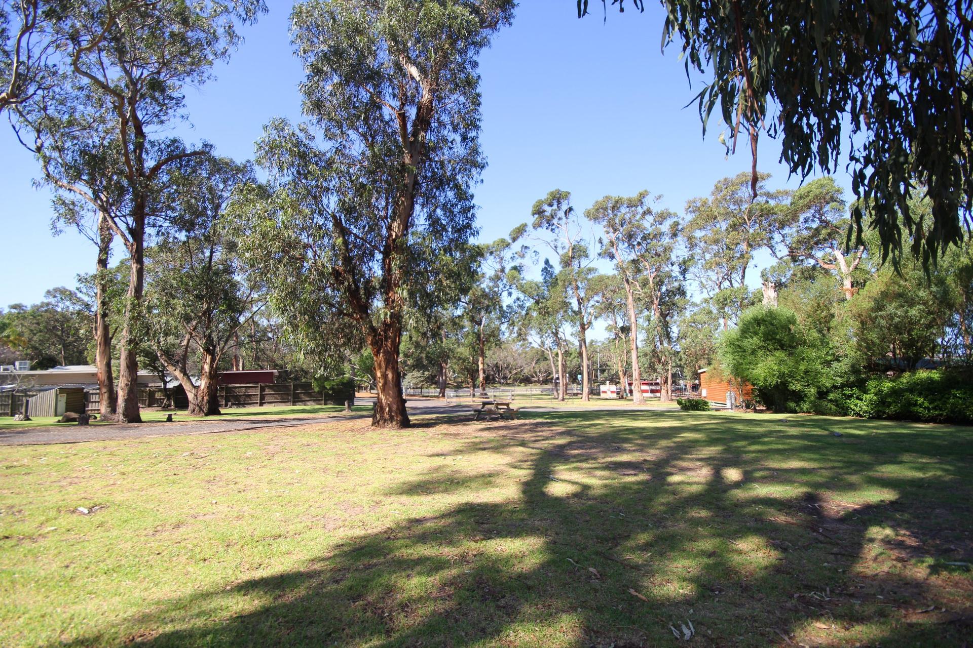Phillip Island Park Lane Holiday Park - 5