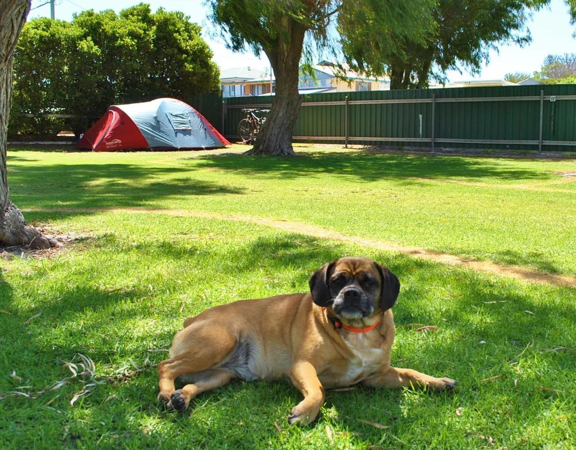 Bathers Paradise Caravan Park - 1