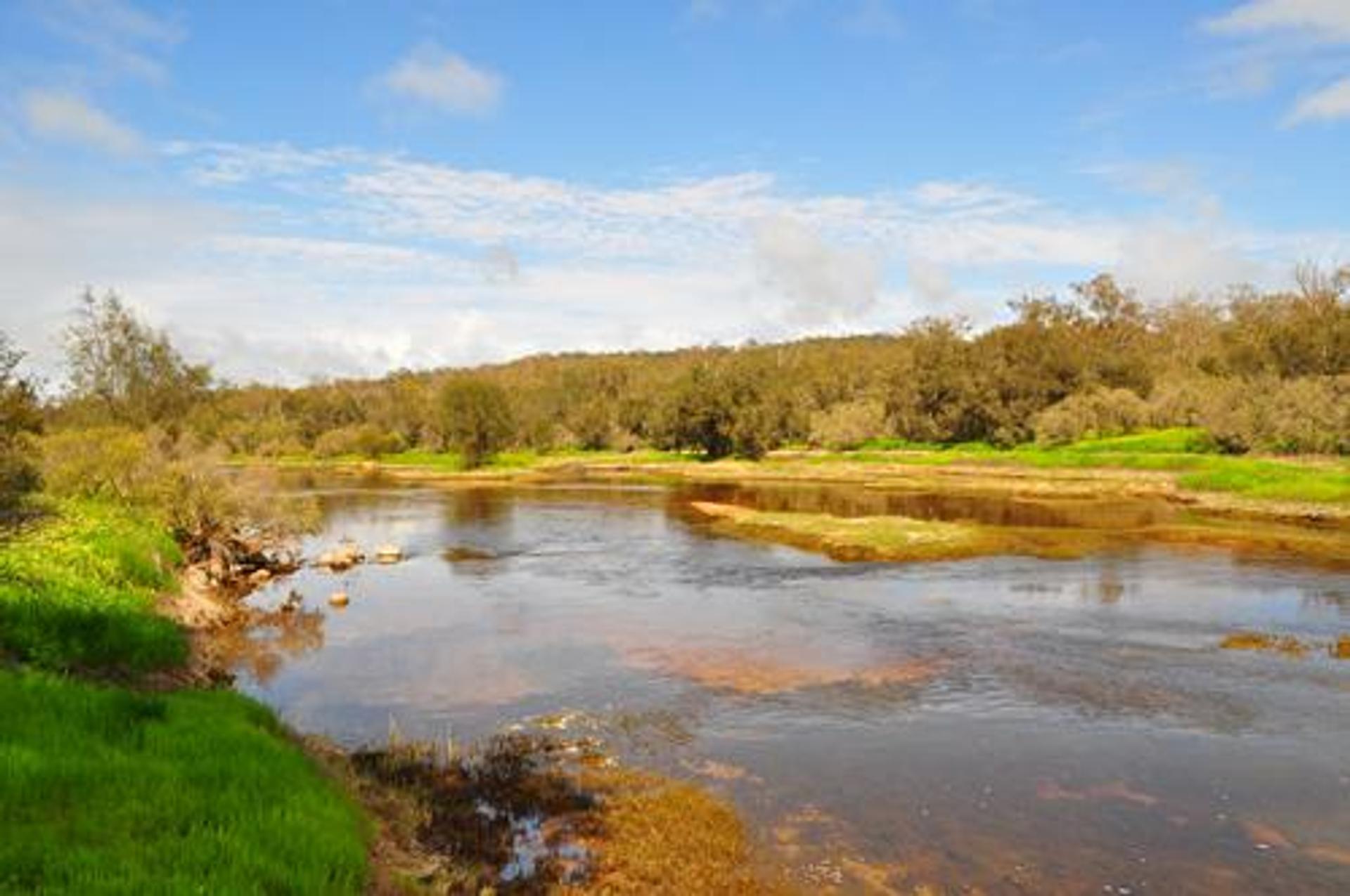 Toodyay Holiday Park & Chalets