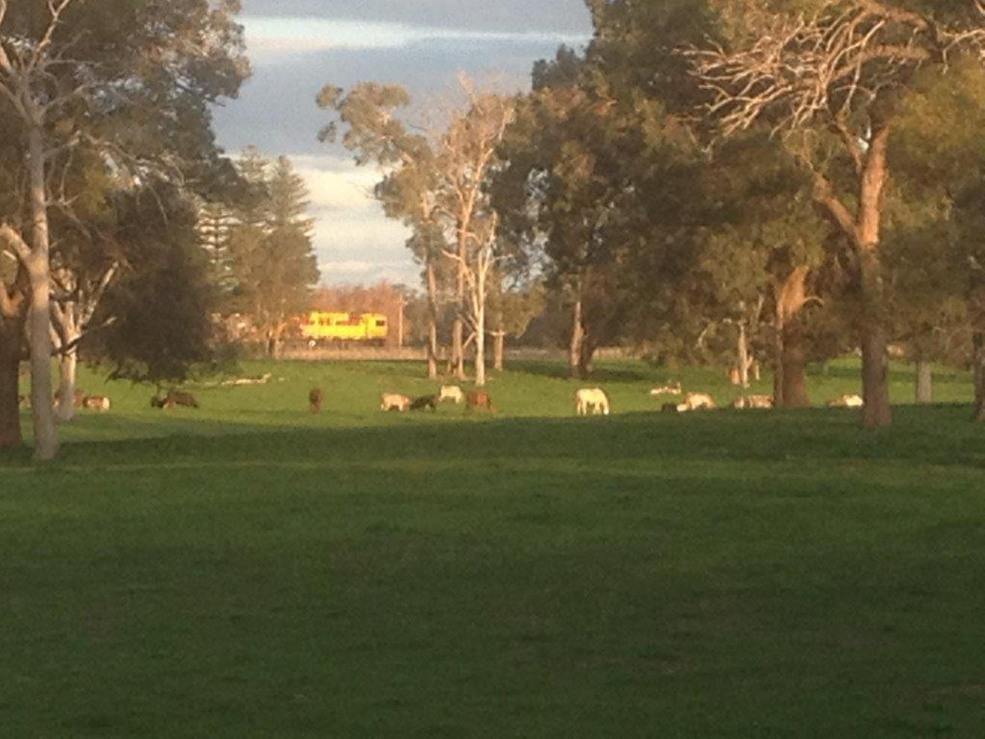 Pinjarrah Holiday Park - 2