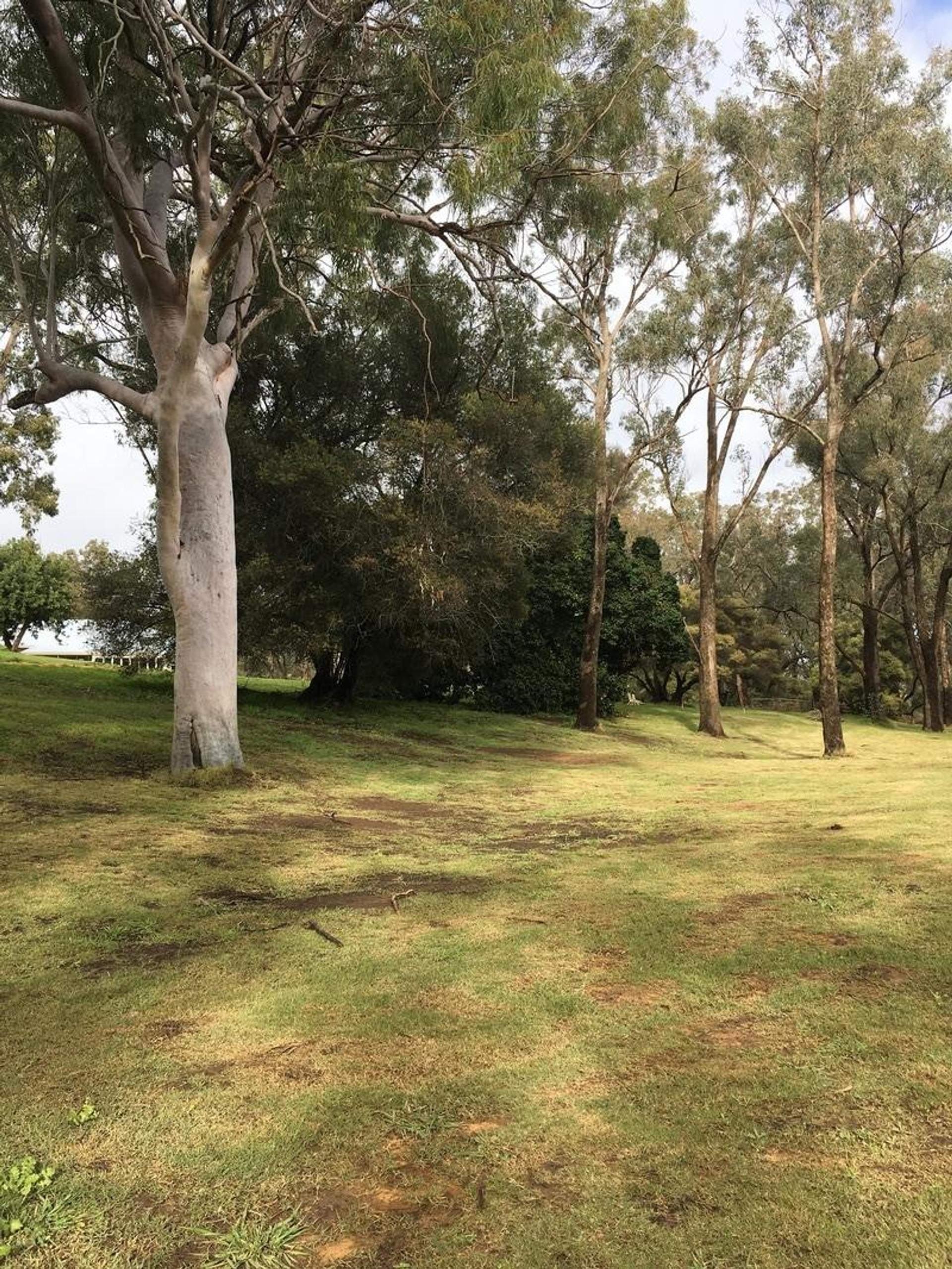 Pinjarrah Holiday Park - 1