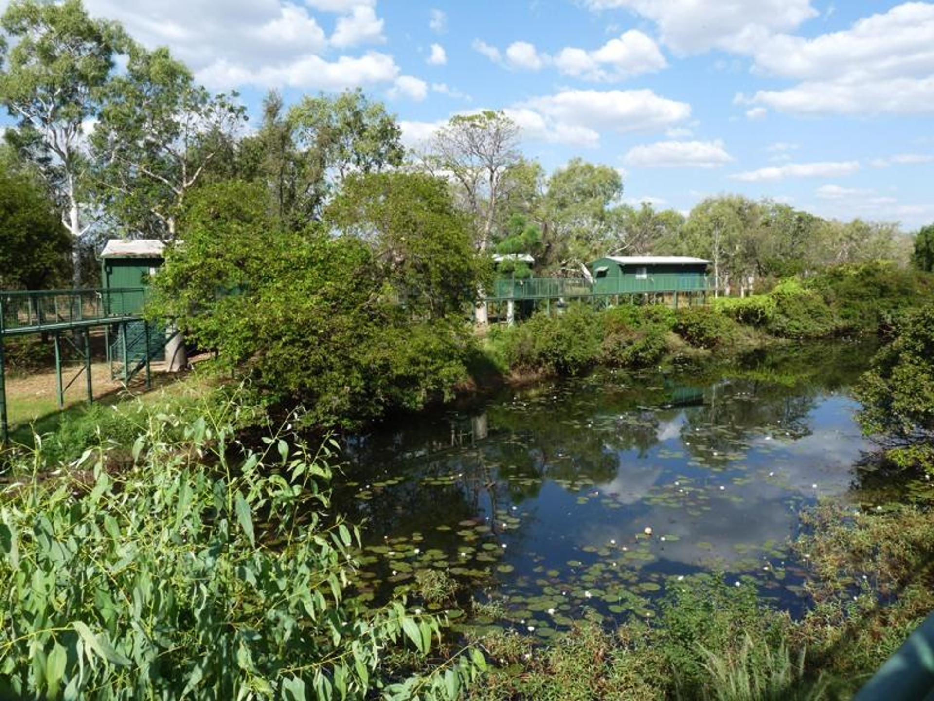 Parry Creek Farm Tourist Resort and Caravan Park - 1