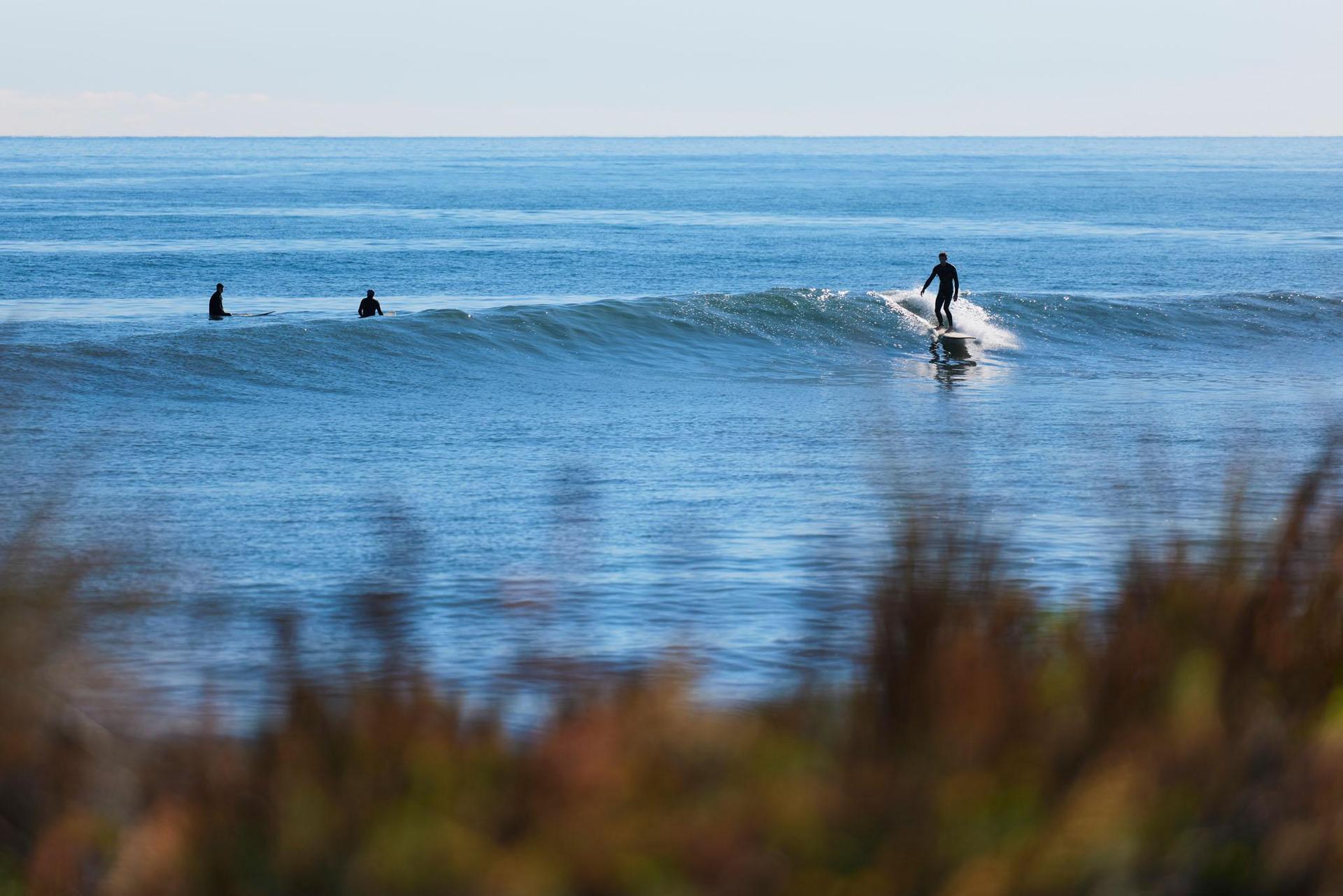 Peppermint Grove Beach Holiday Park - 5