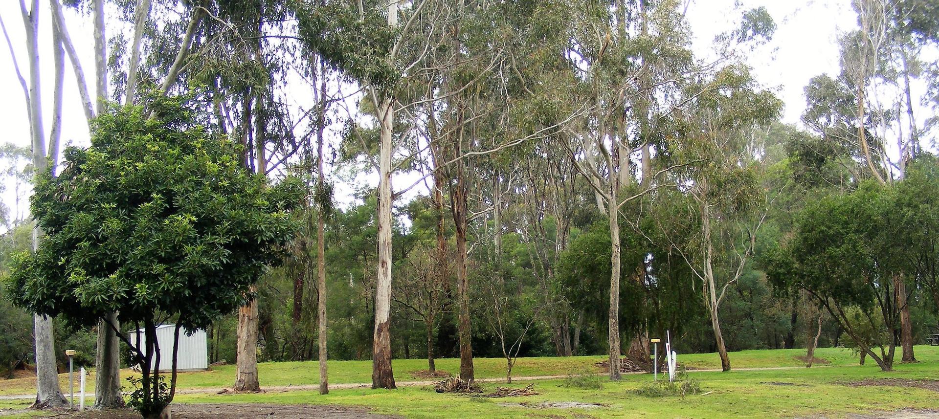 Cann River Rainforest Caravan Park - 2