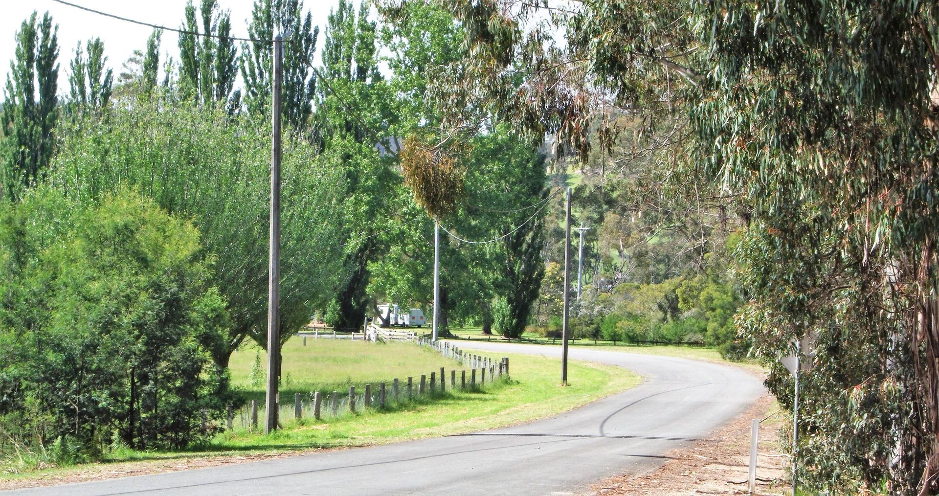 Cann River Rainforest Caravan Park - 1