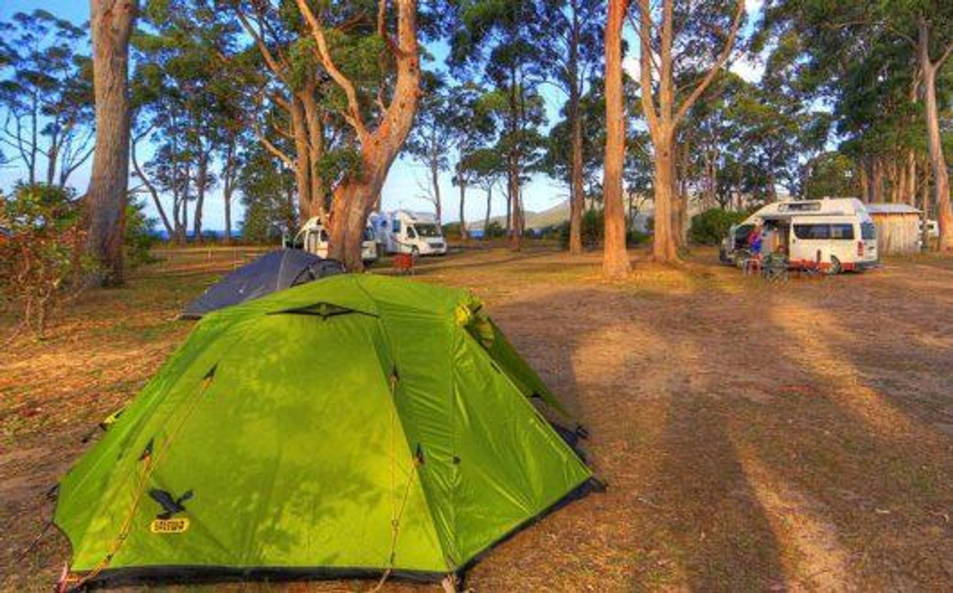 Captain Cook Holiday Park - 5