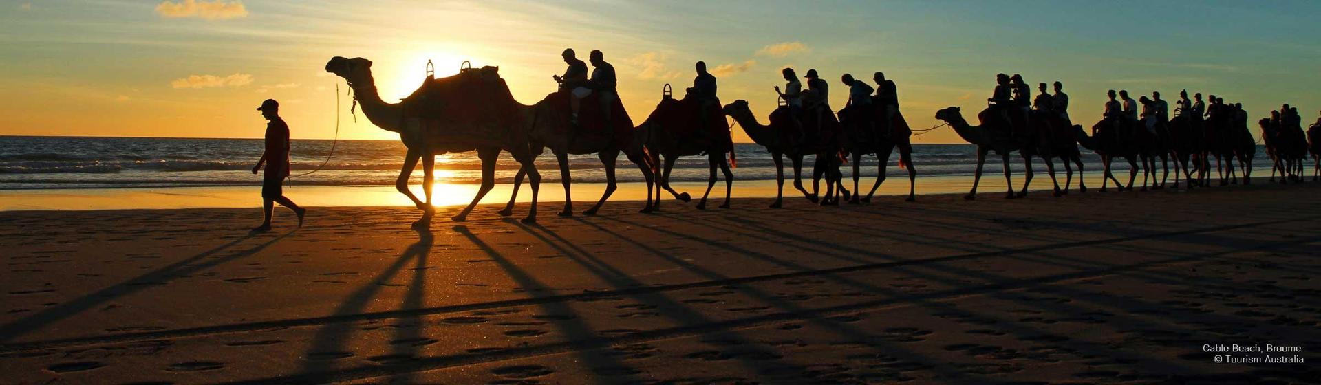 Tarangau Caravan Park - 4