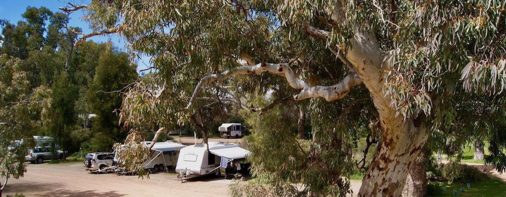 Quorn Caravan Park - 2