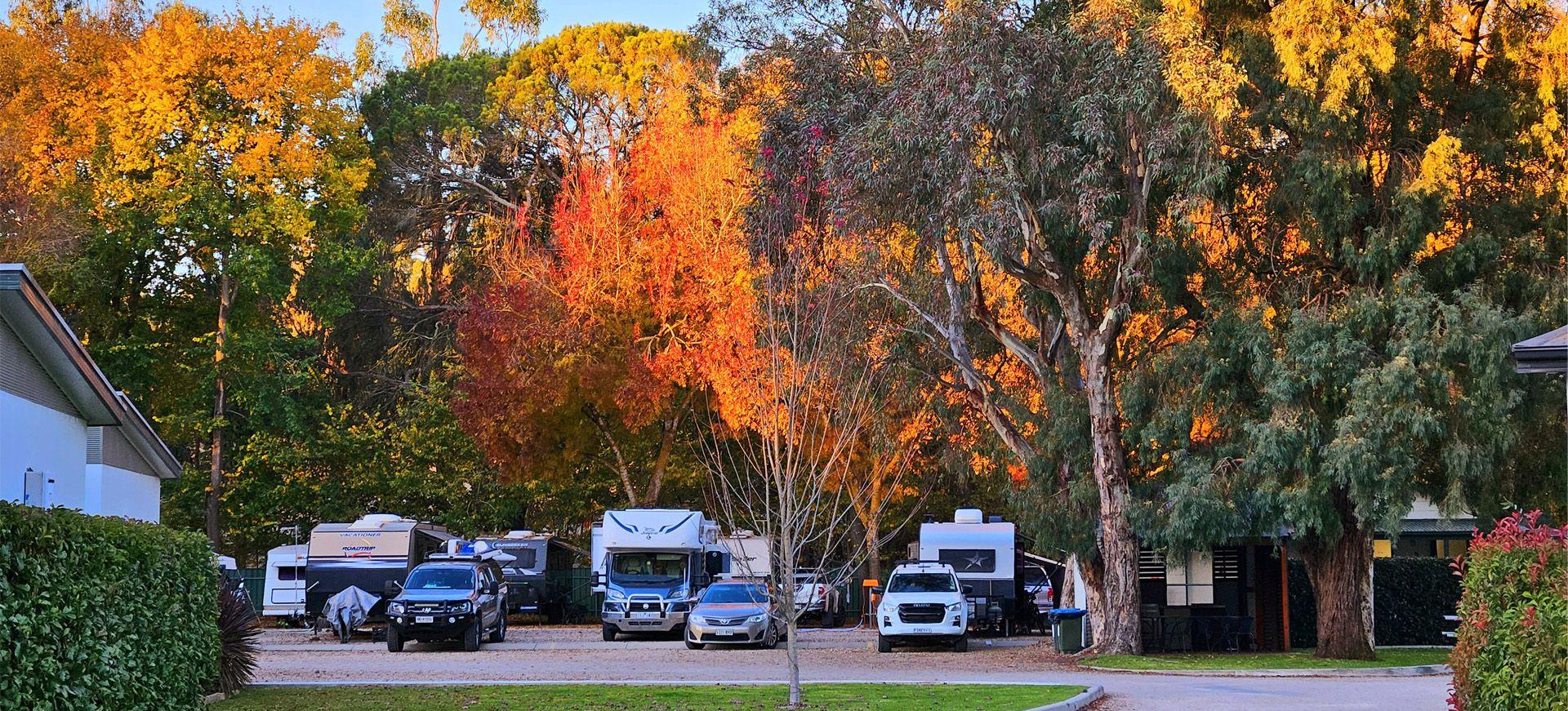 Mount Barker Caravan & Tourist Park - South Aust