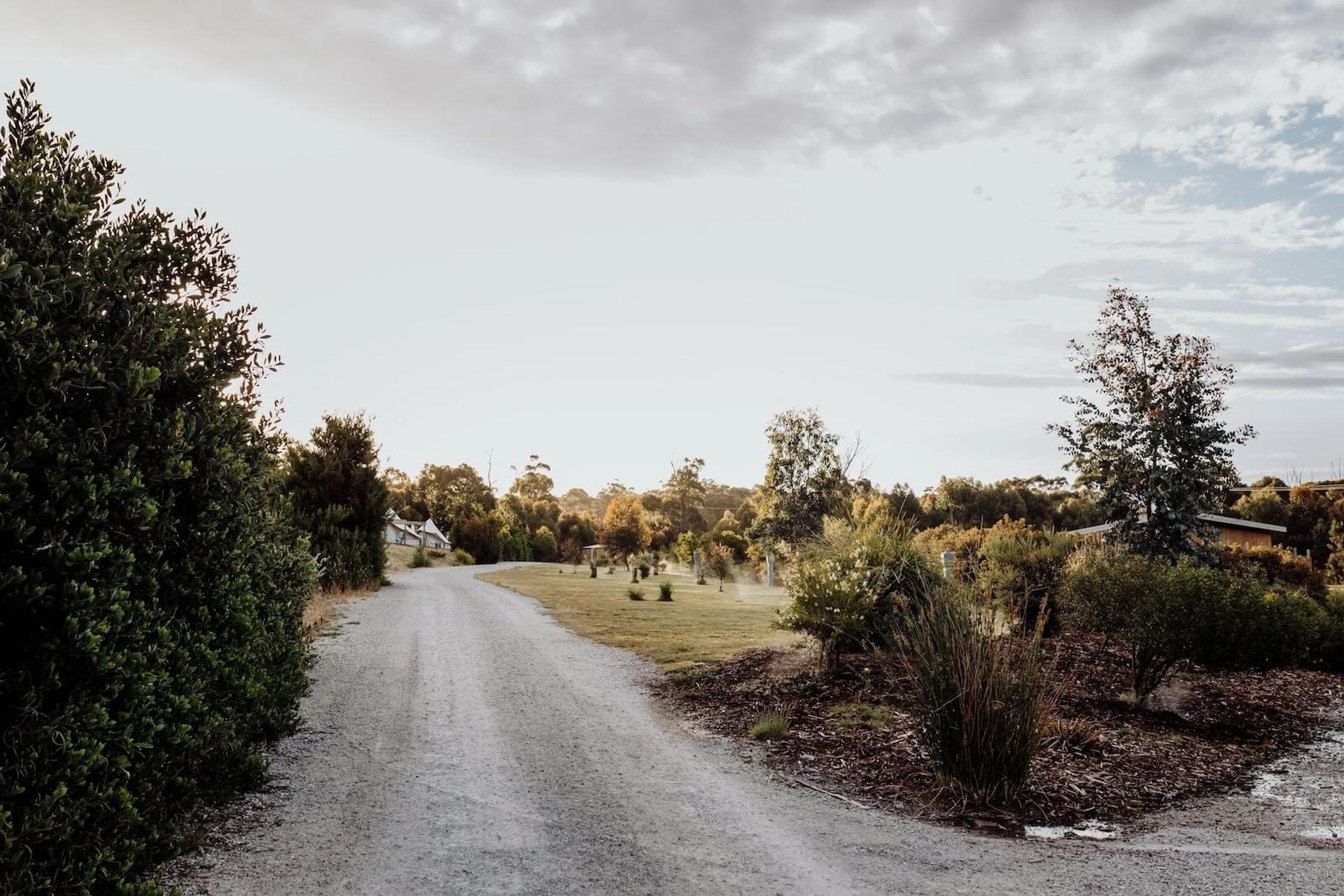 Scamander Sanctuary Holiday Park - 3