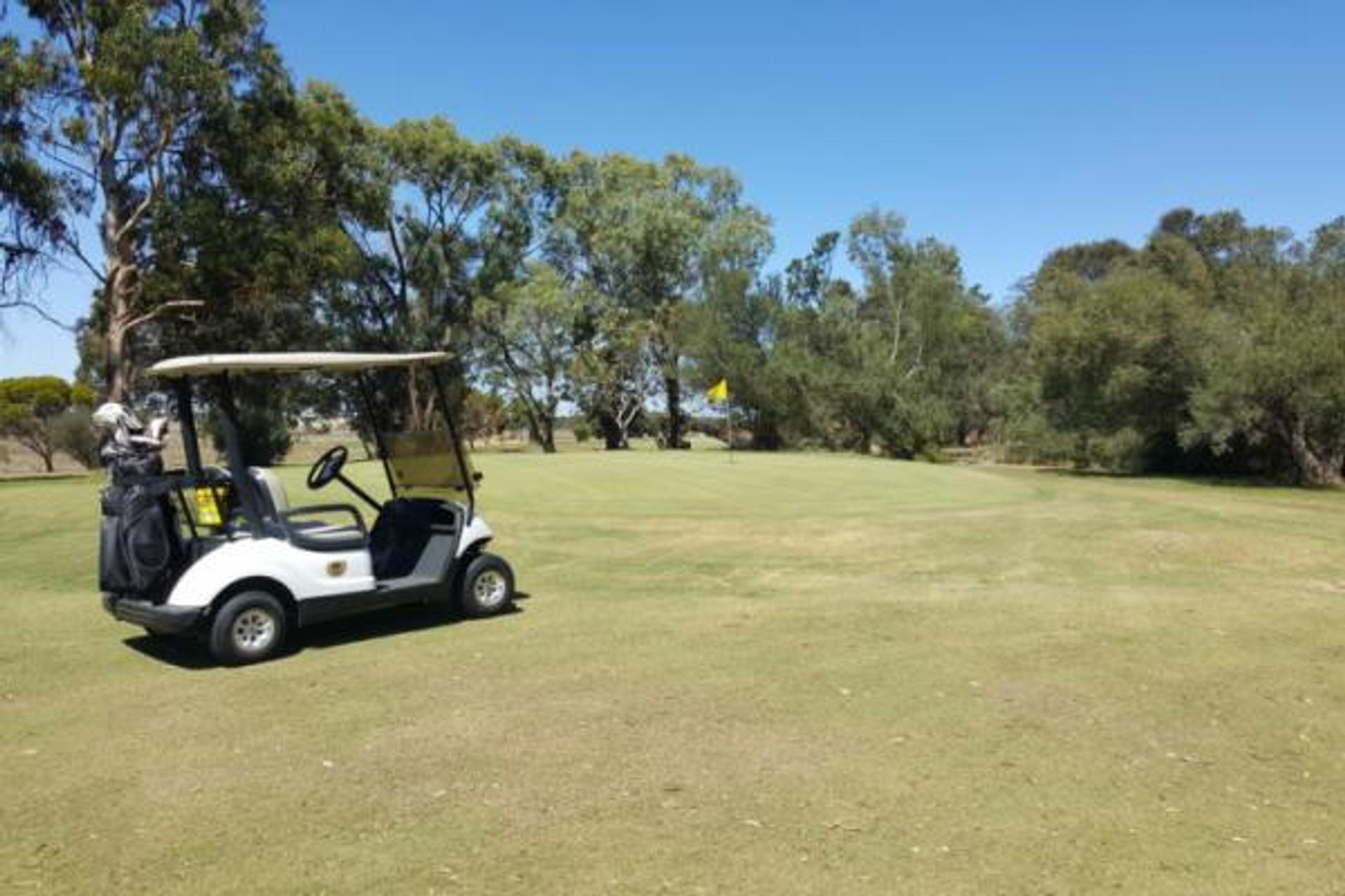 Lake Albert Caravan Park, Meningie SA - 2