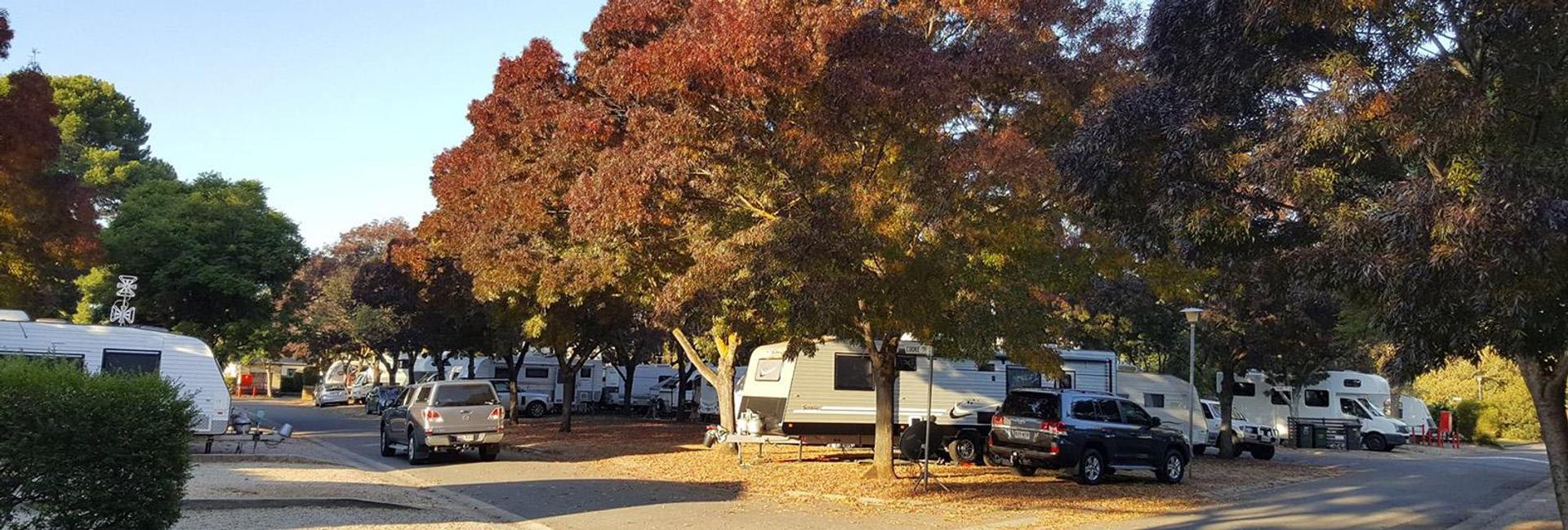 Levi Adelaide Holiday Park