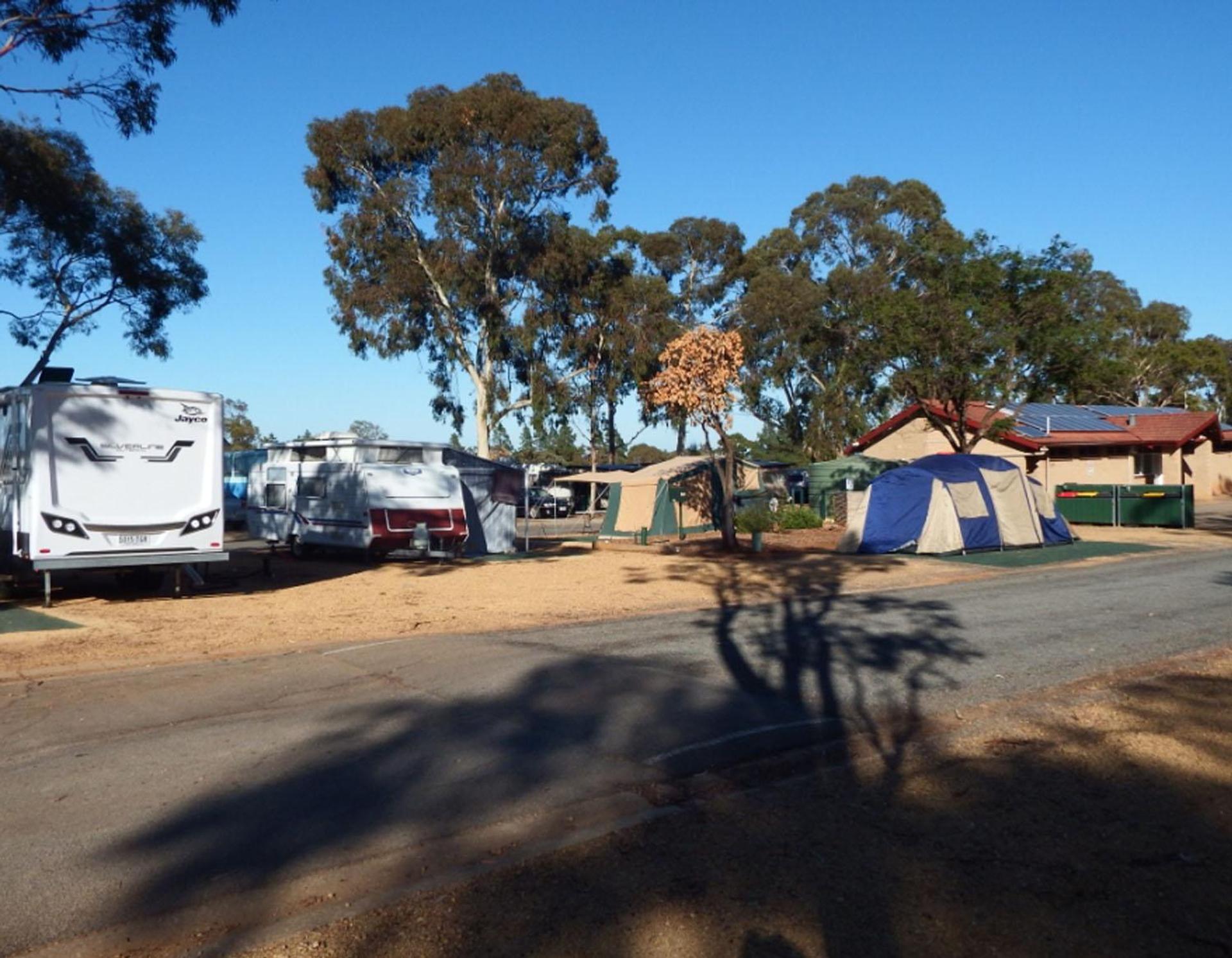 Gawler Gateway Tourist Park - 3