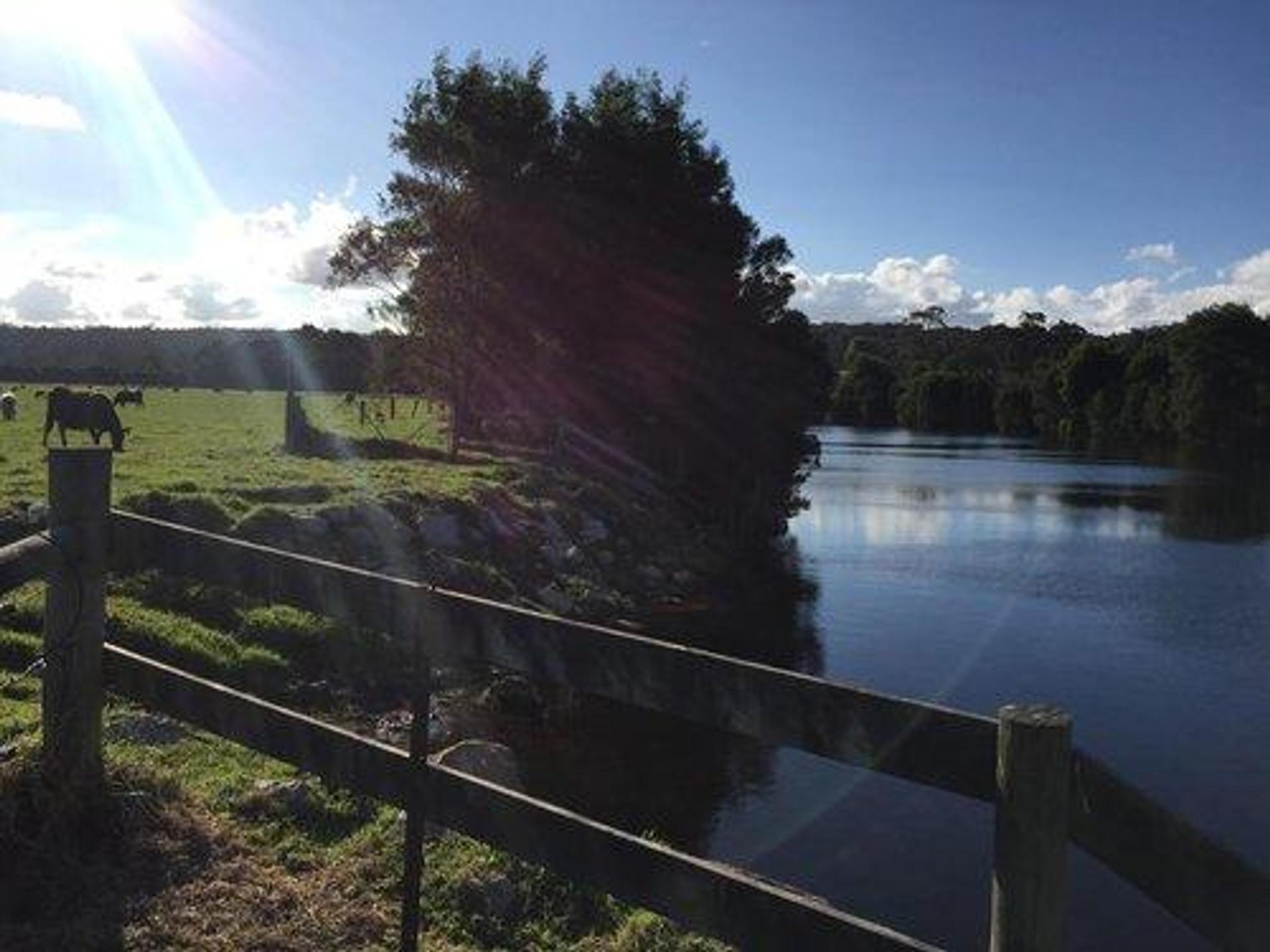 Bemm River Caravan Park - 1