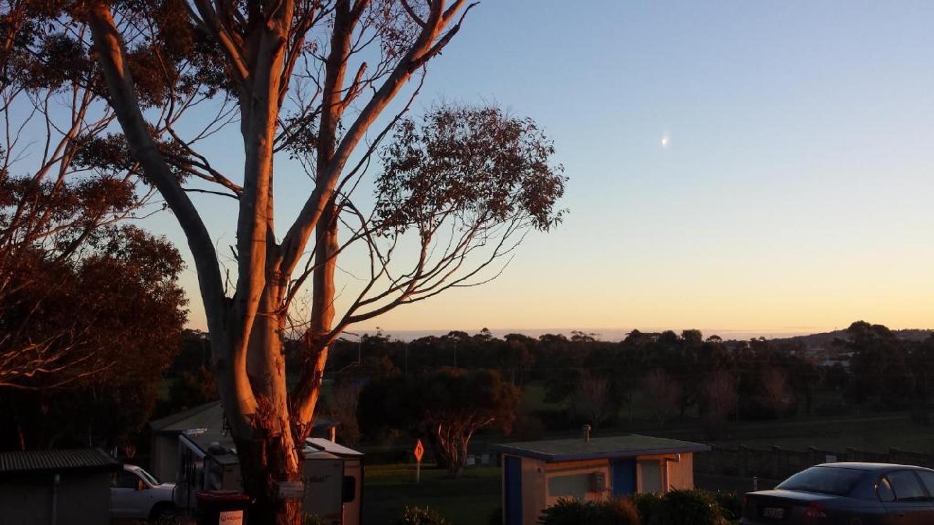 Limestone Coast Tourist Park - 1