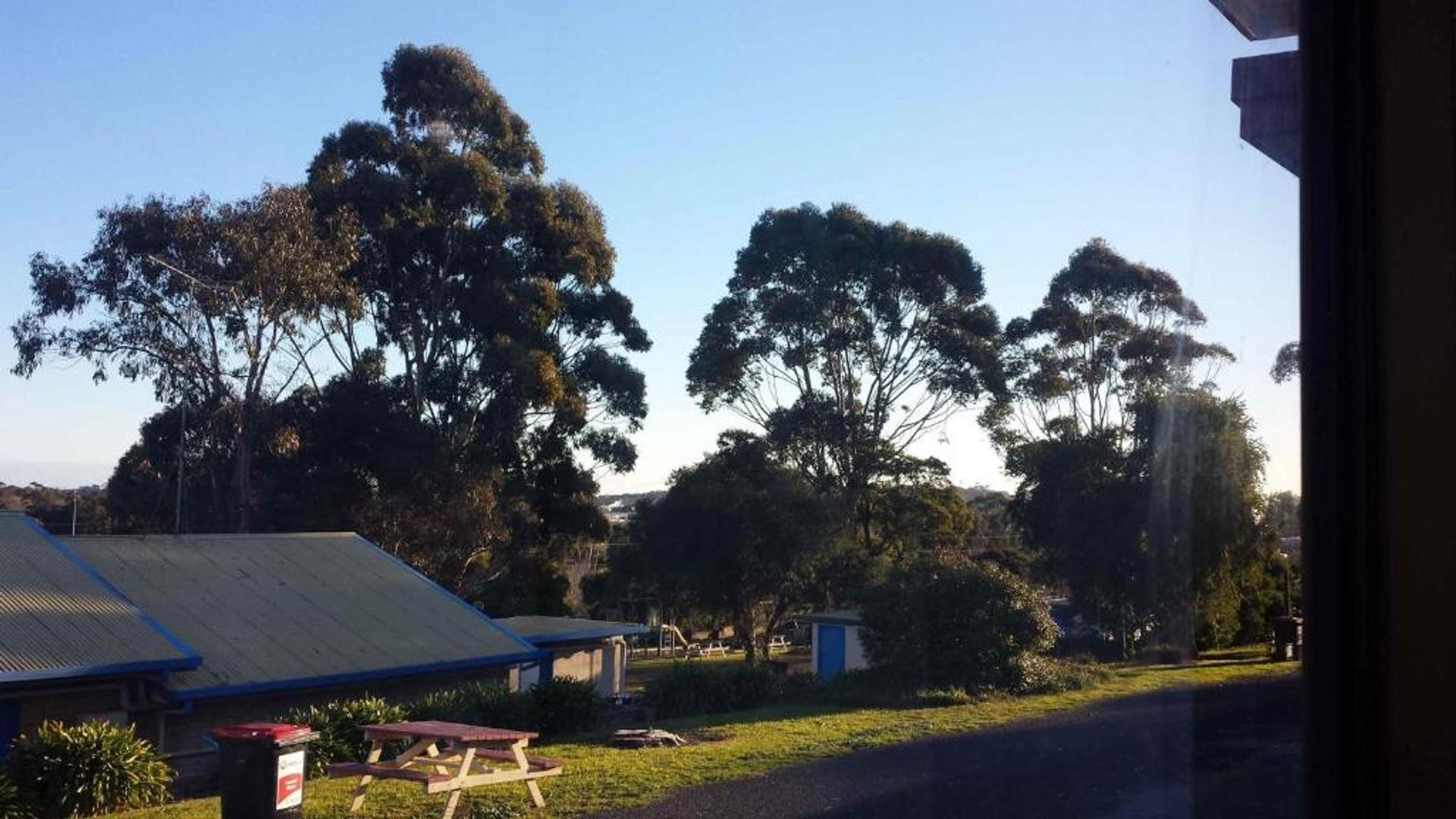 Limestone Coast Tourist Park - 4