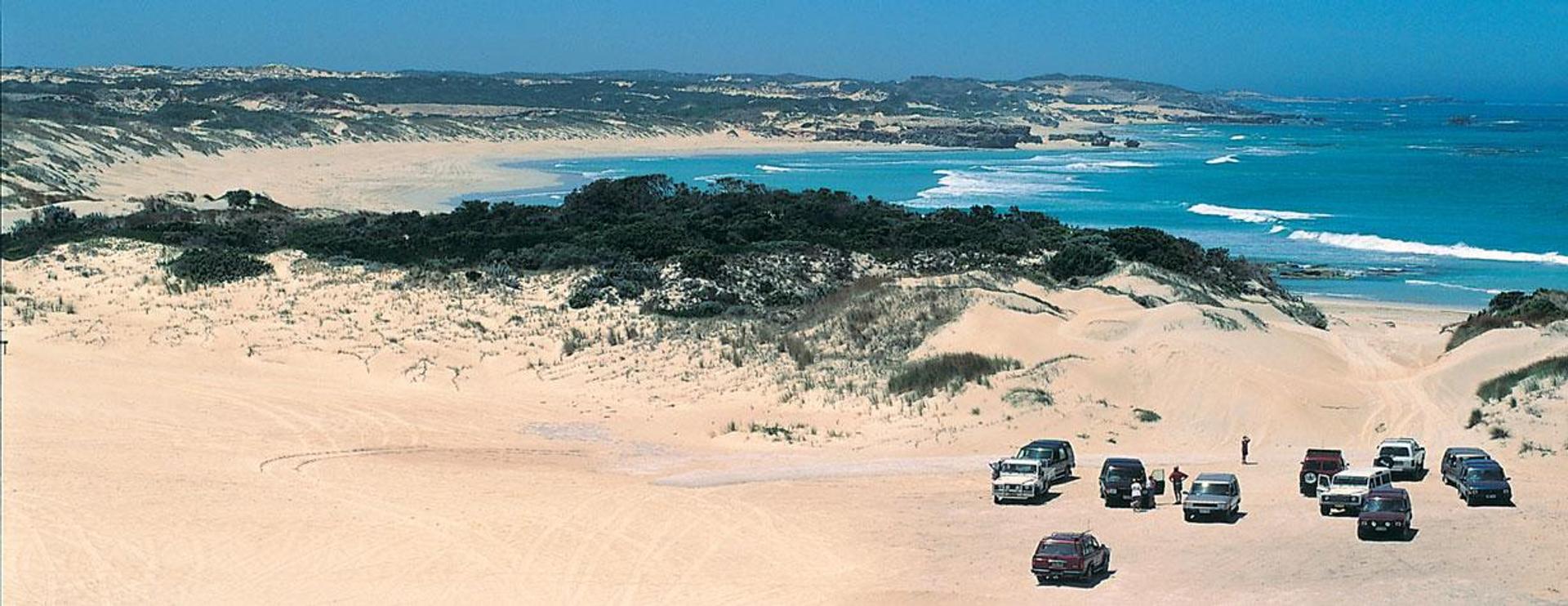 Millicent Hillview Caravan Park - 1