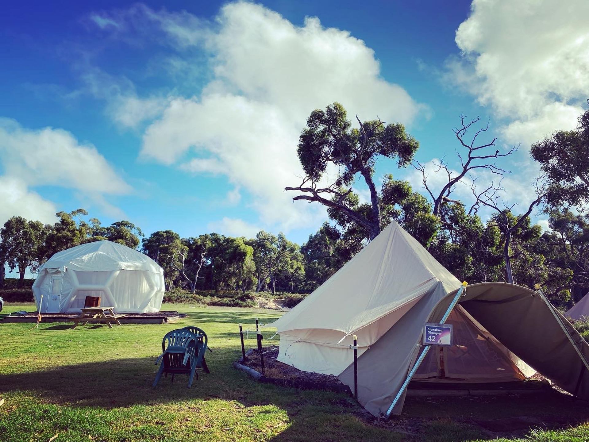 Coonawarra Bush Holiday Park - 5