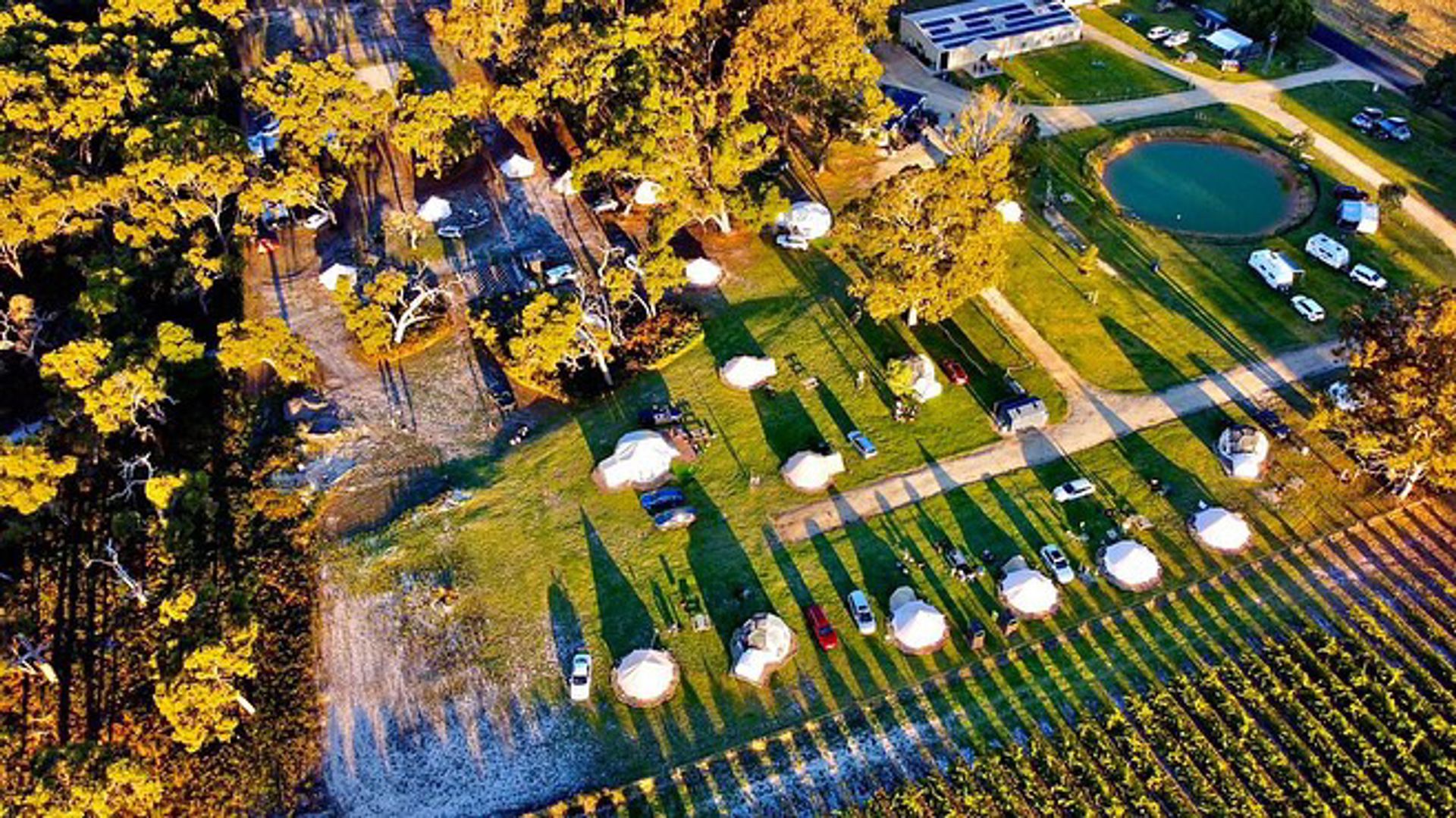 Coonawarra Bush Holiday Park - 1