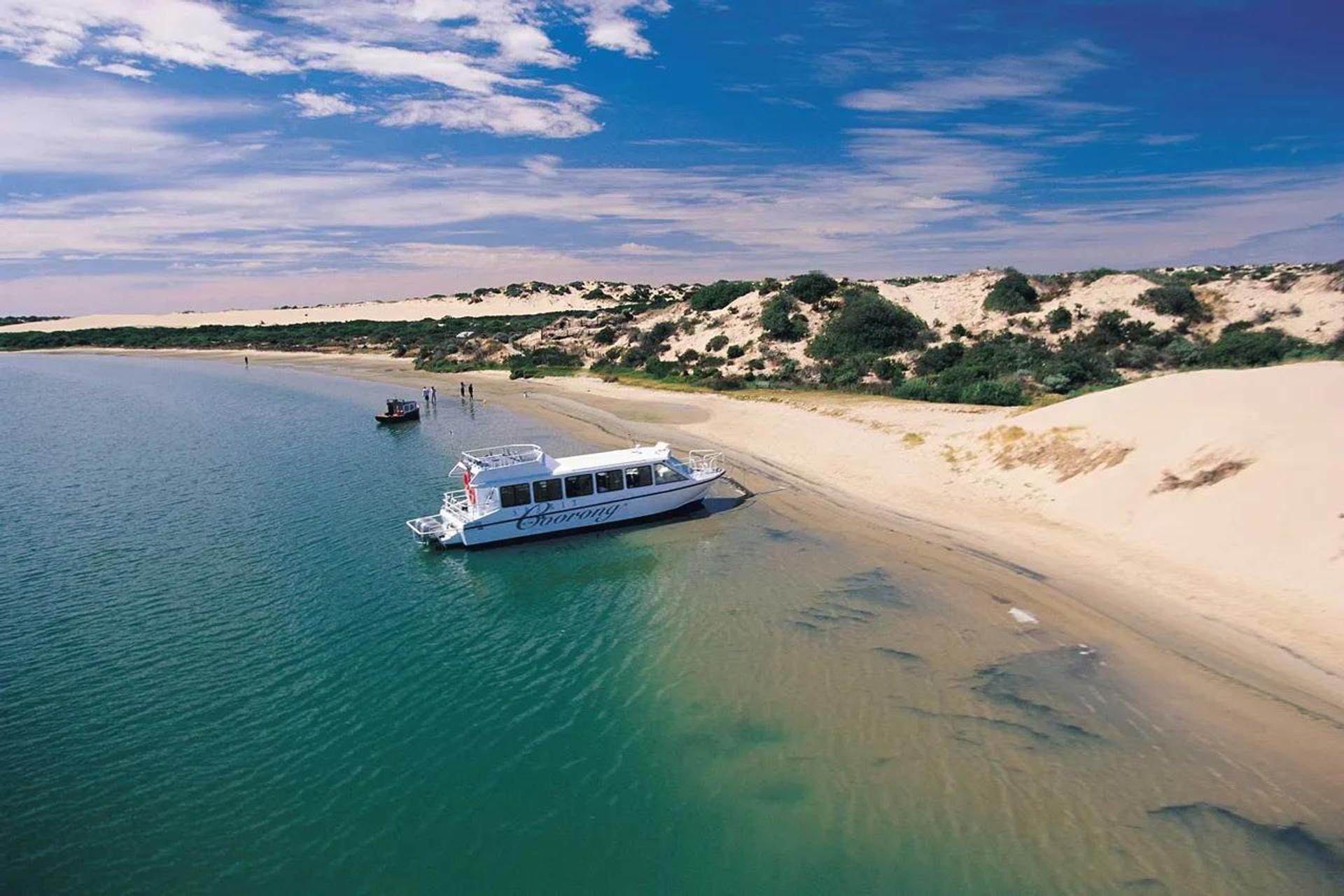 Hindmarsh Island Caravan Park - 2