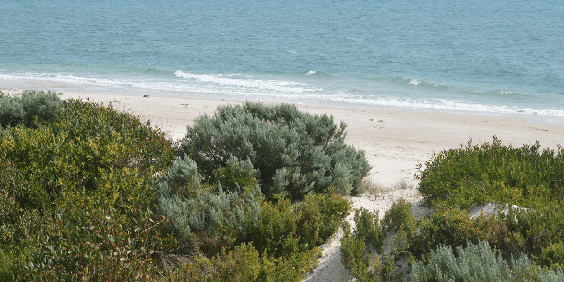 BIG4 Normanville Jetty Holiday Park - 2