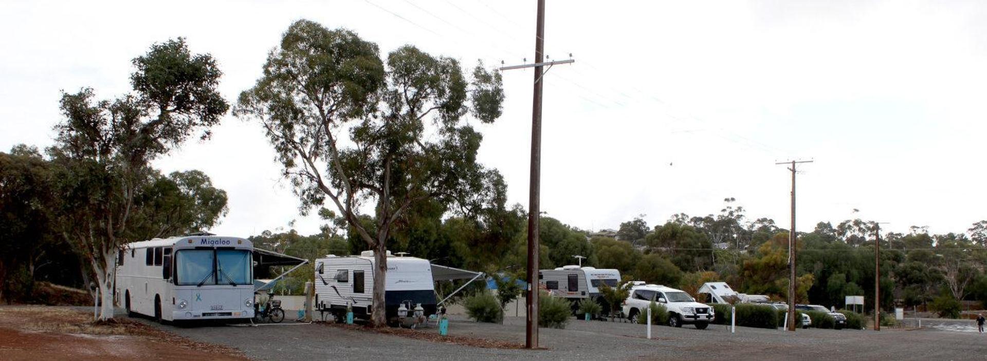 Eudunda Caravan Park - 2