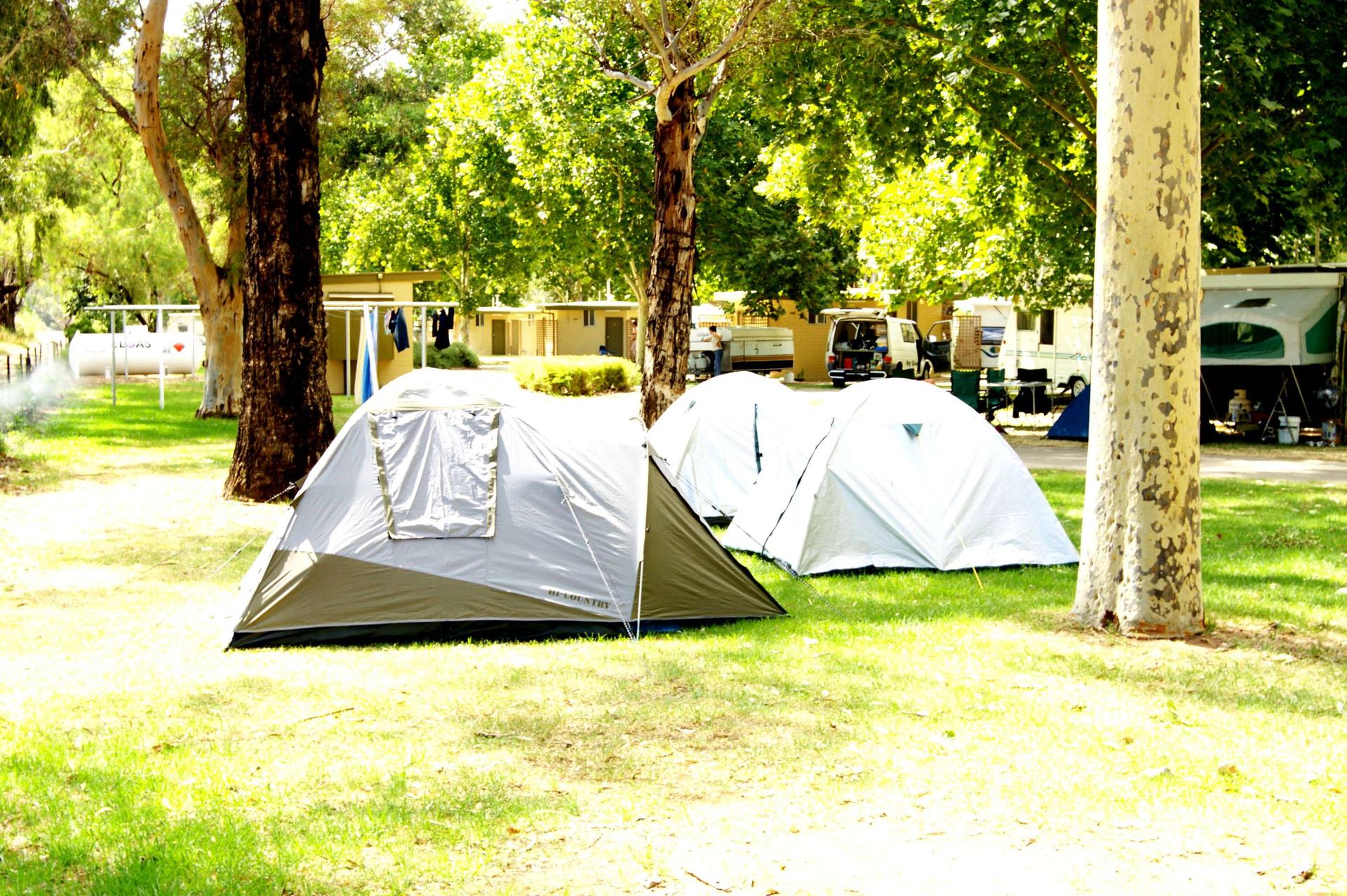 NRMA Mildura Riverside Holiday Park - 5