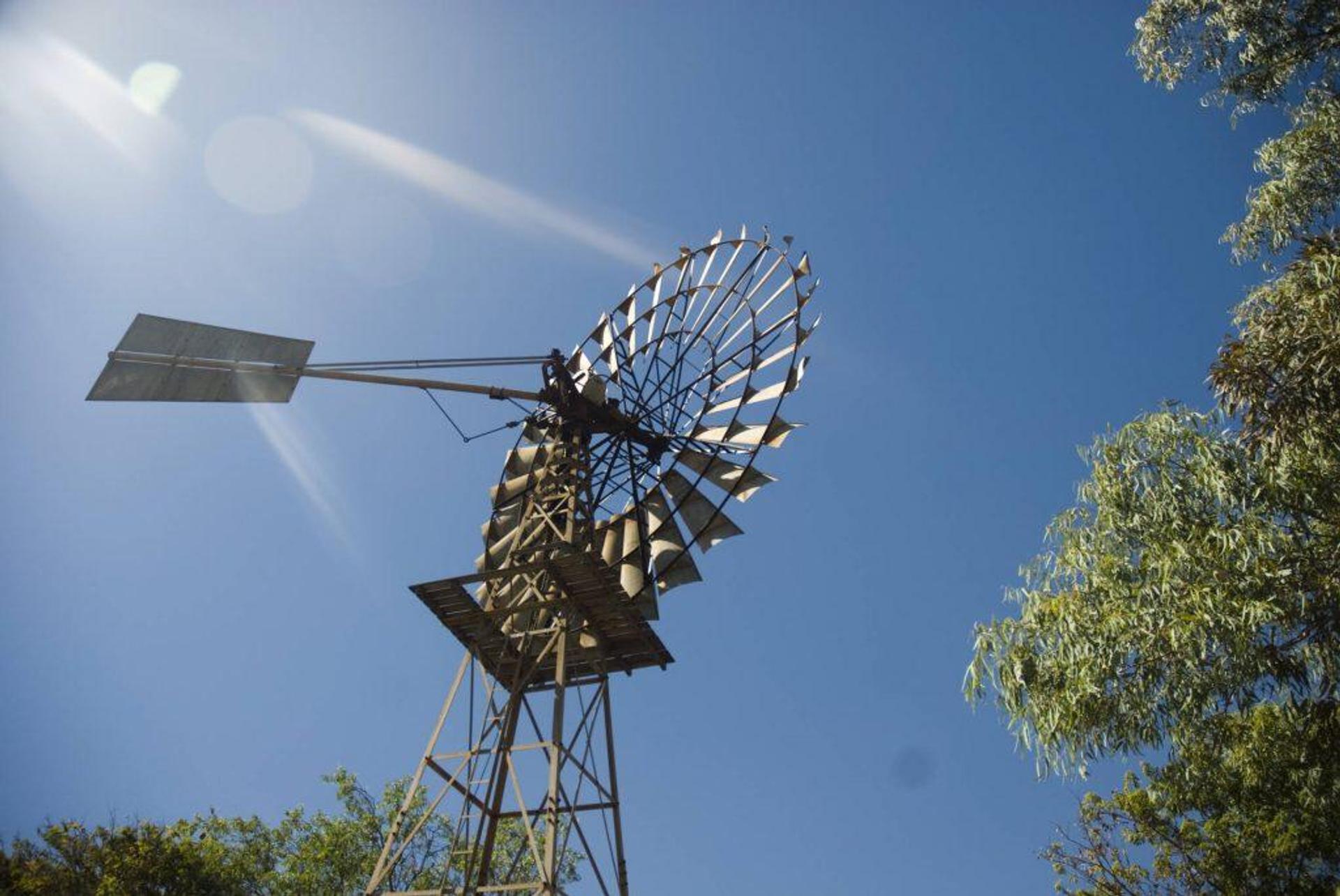 Lazy Lizard Tavern & Caravan Park - 1