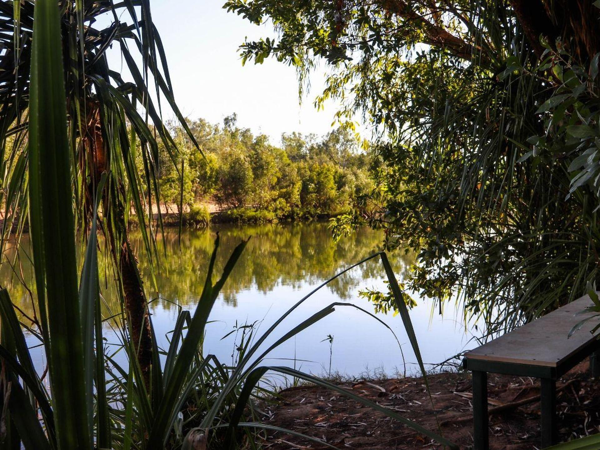 Manbulloo Homestead Caravan Park, Katherine - 4
