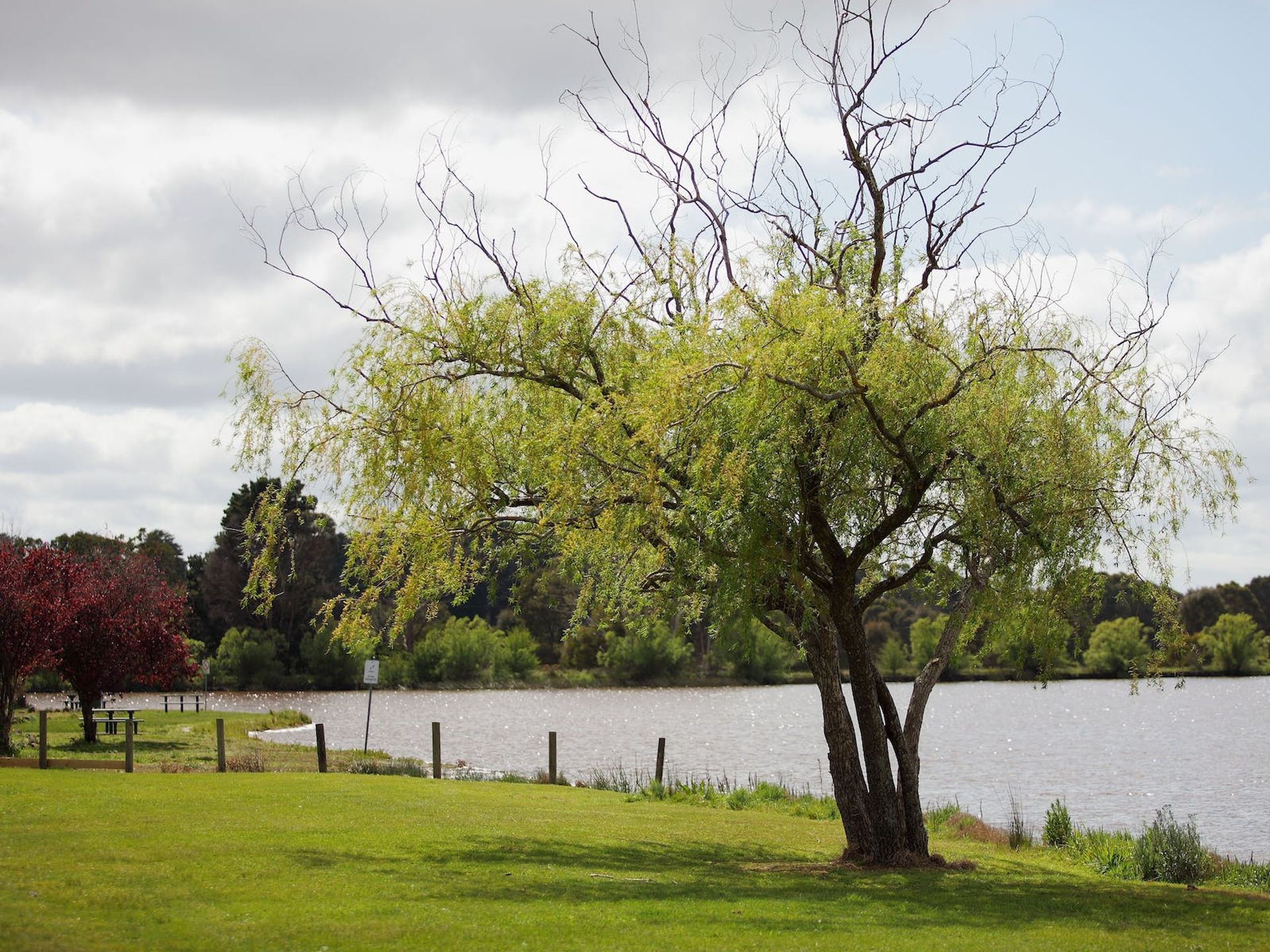 Beaufort Lake Caravan Park - 2