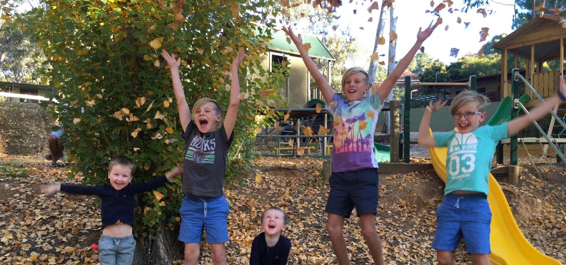 Beechworth Holiday Park - 5