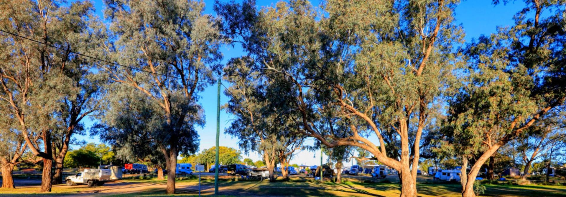 St George Caravan Park - 4
