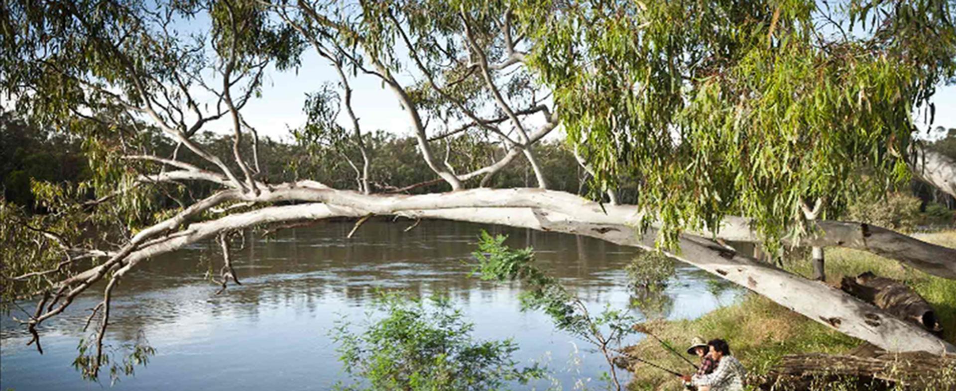 Hay Caravan Park - 1