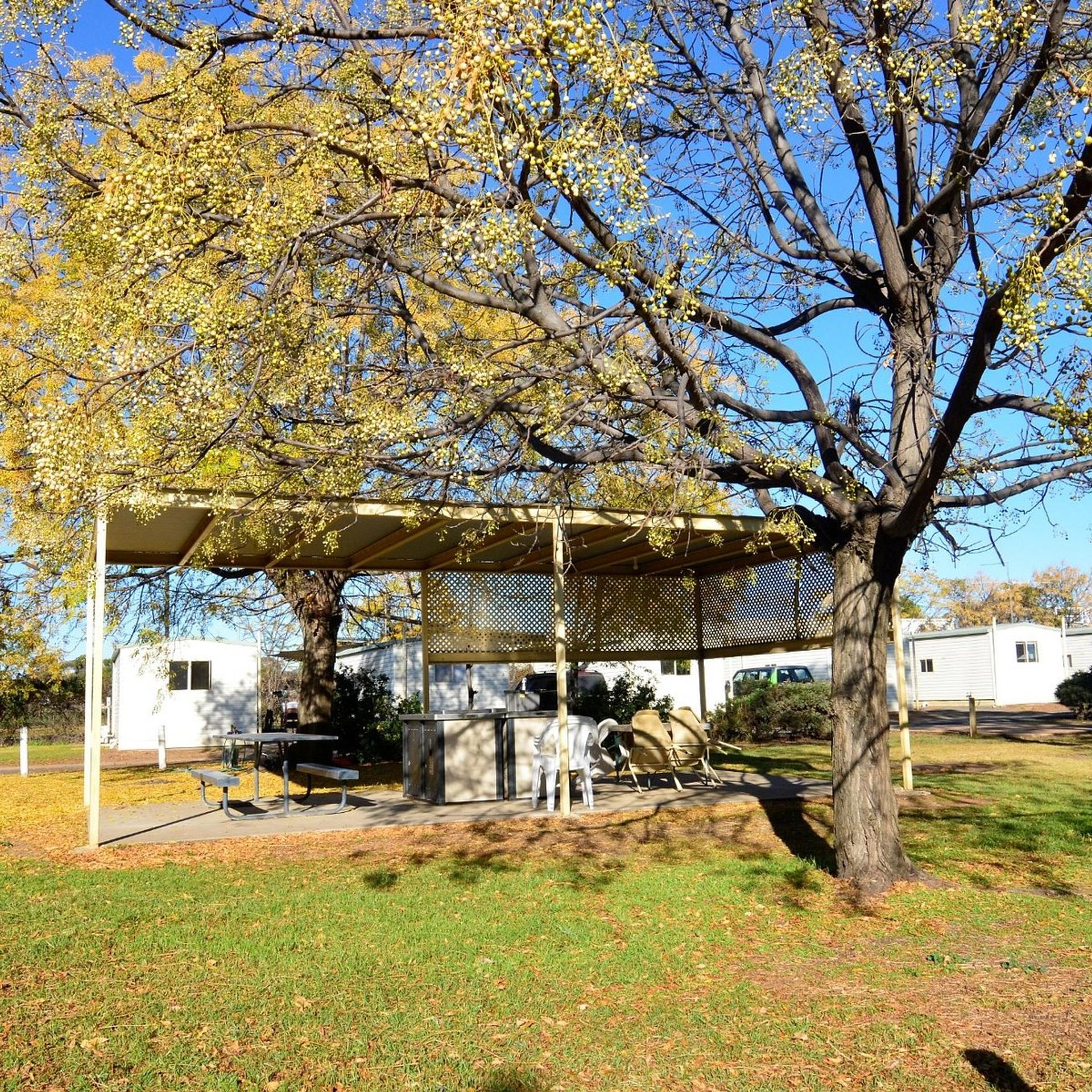 West Wyalong Caravan Park - 4