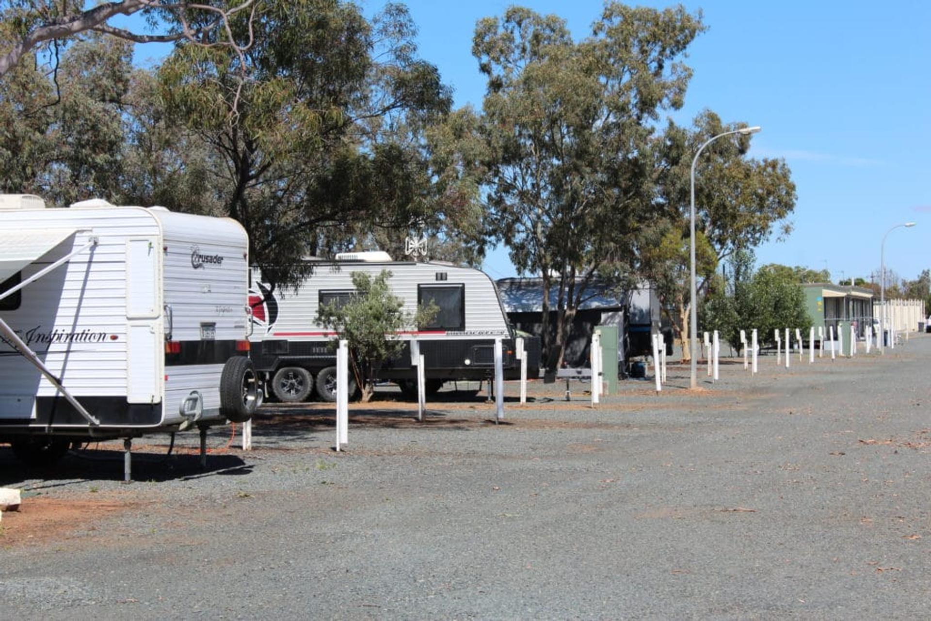 West Wyalong Caravan Park - 2