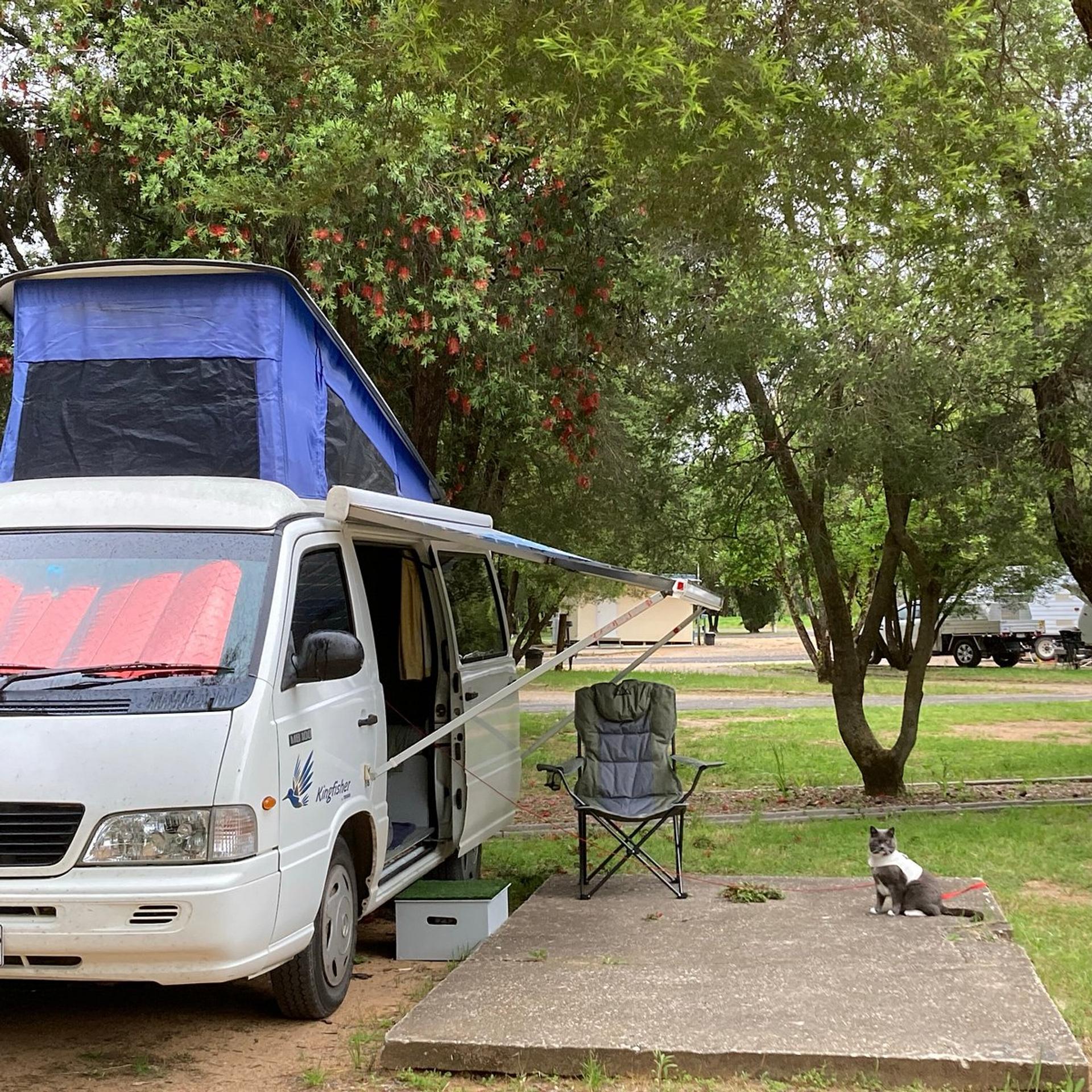 Cowra Holiday Park - 2