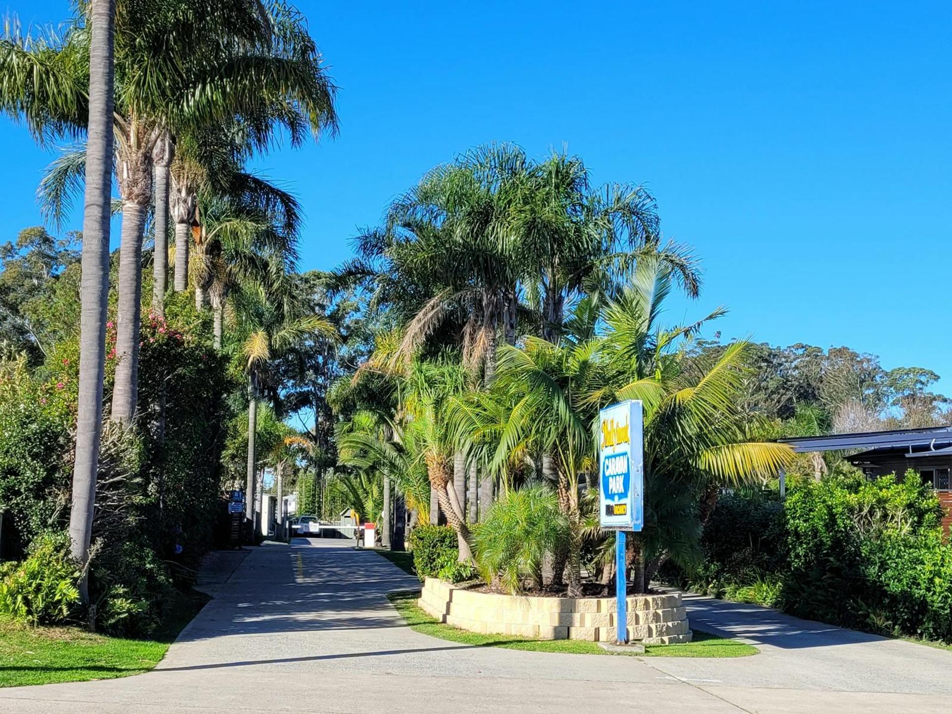 Mollymook Caravan Park - 2