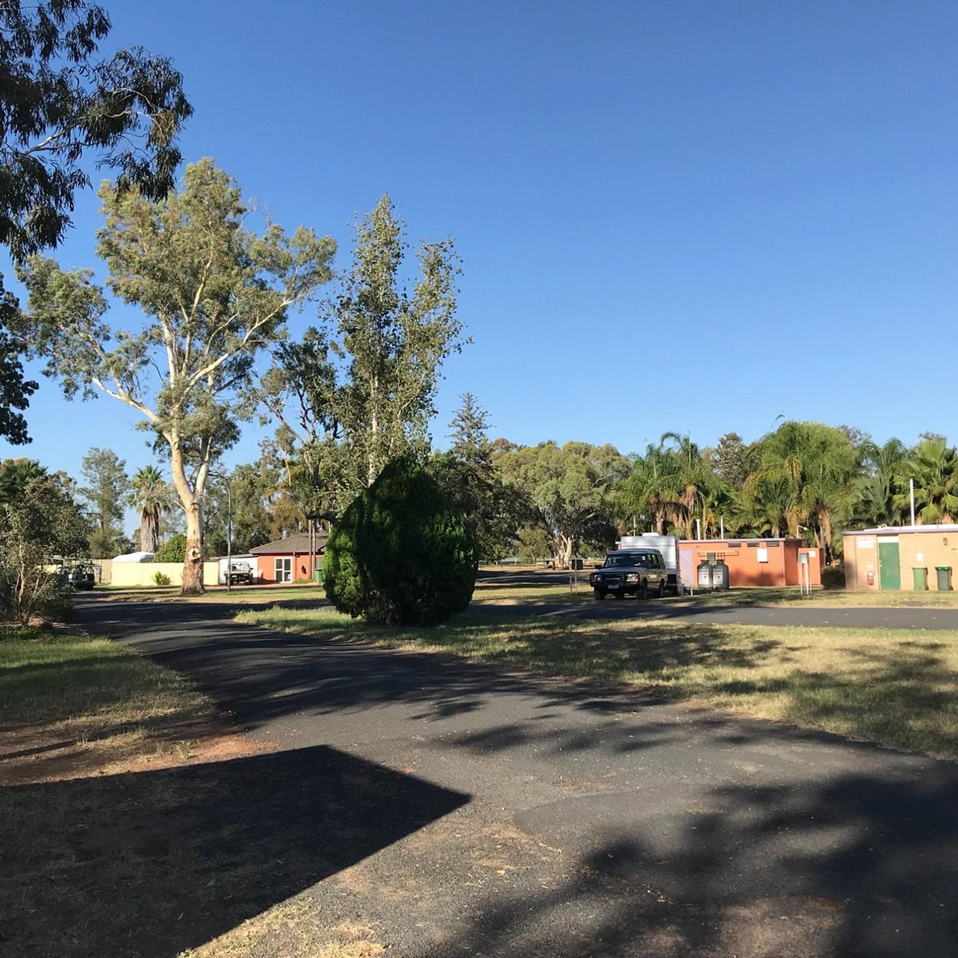 Gilgandra Caravan Park - 2